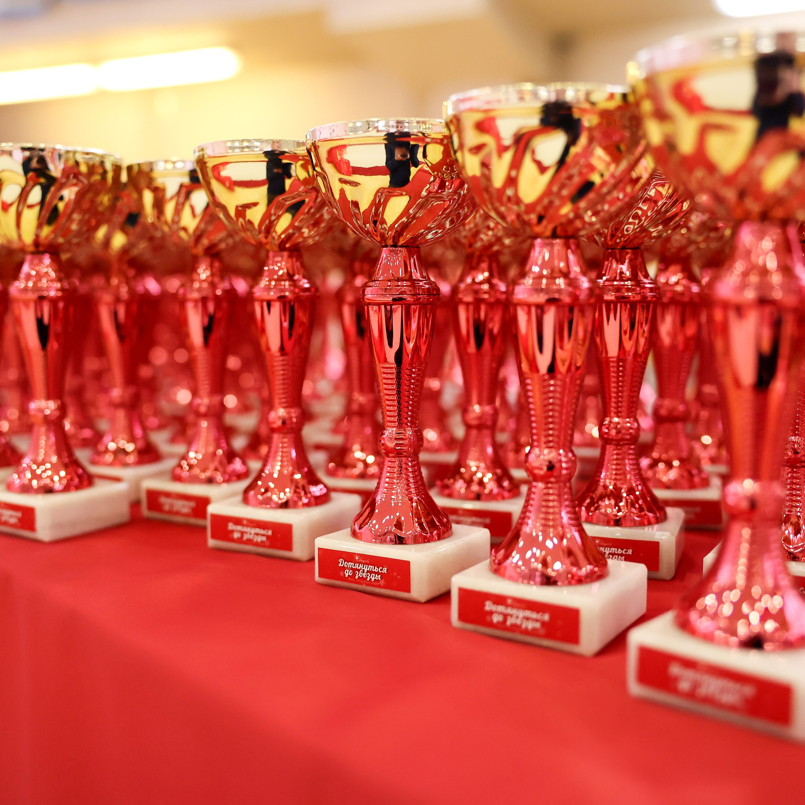 Отзывы. Спортивный и репортажный фотограф Антон Тереханов