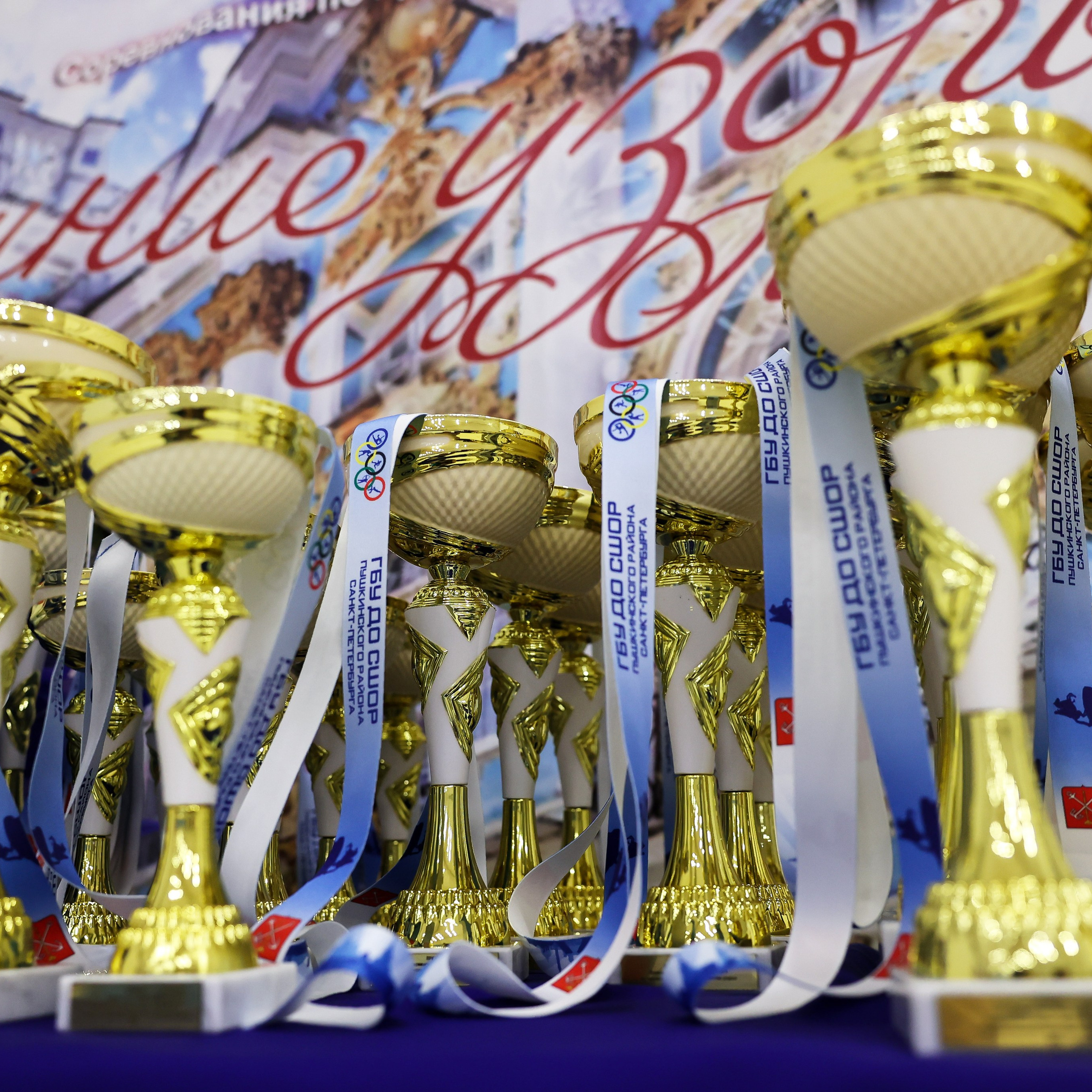 Отзывы. Спортивный и репортажный фотограф Антон Тереханов