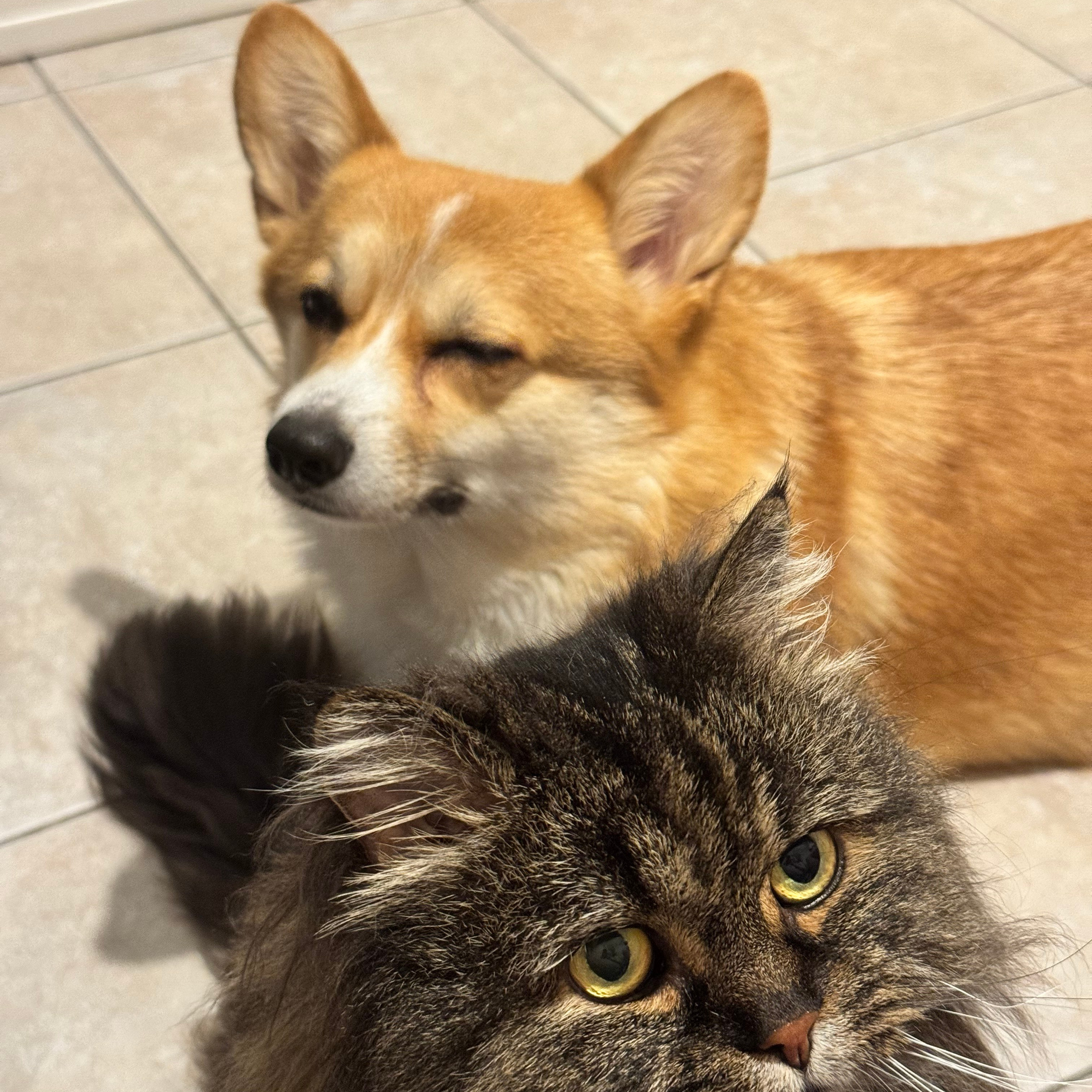 Отзывы. Фотограф-анималист в Санкт-Петербурге