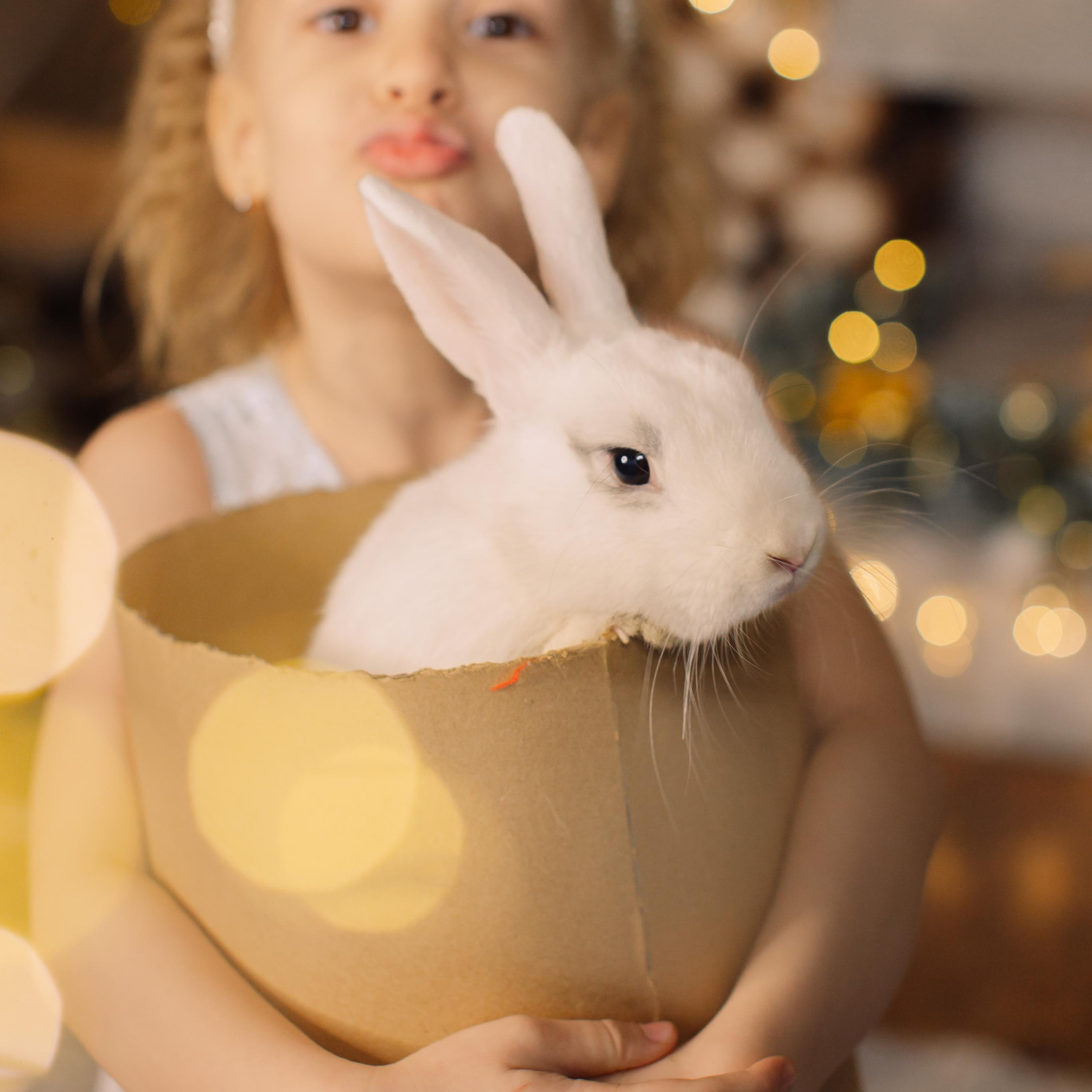 Отзывы. Профессиональная видео и фото съёмка в Калуге и области