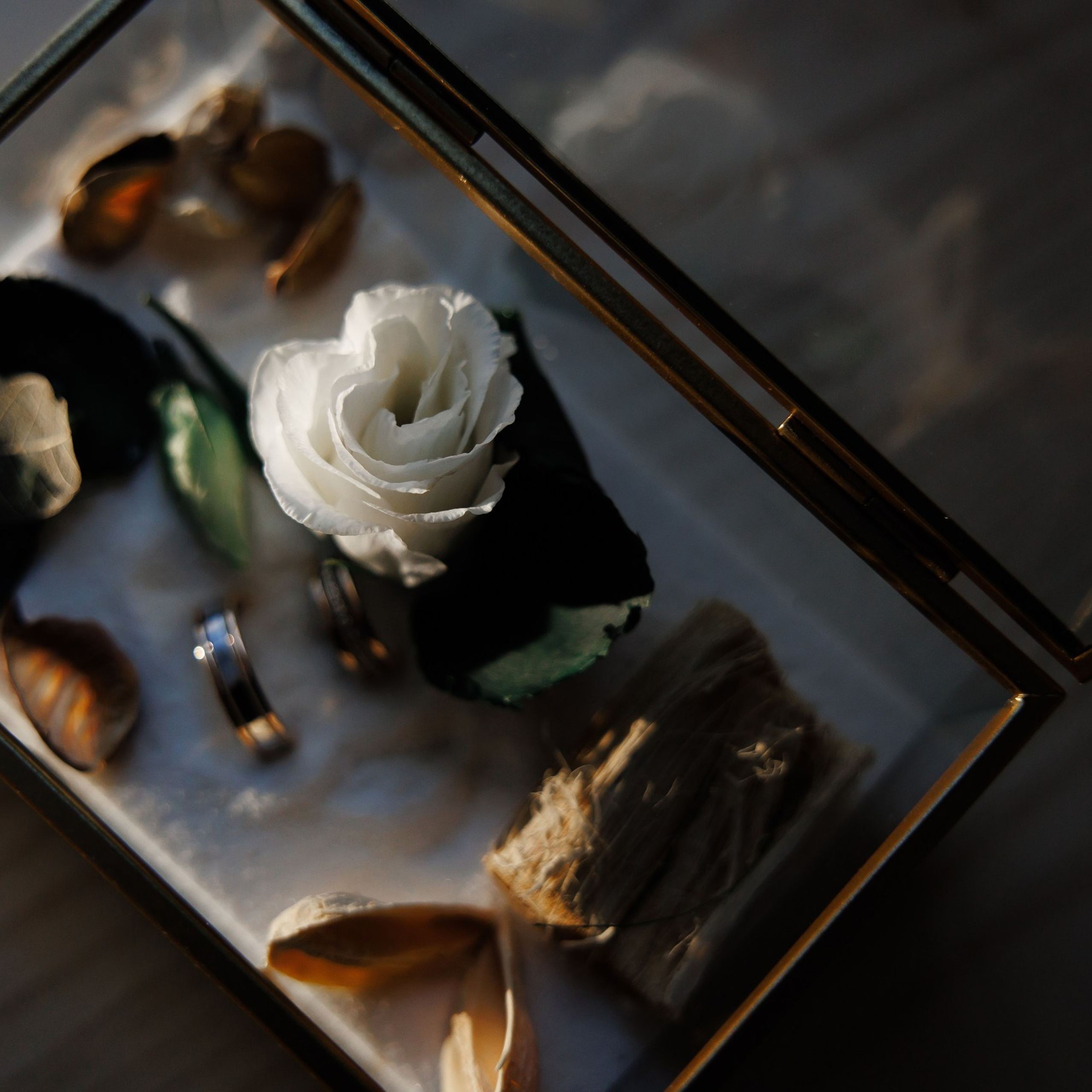 Отзывы. Свадебный и семейный фотограф Москва Рязань Елена Клюева