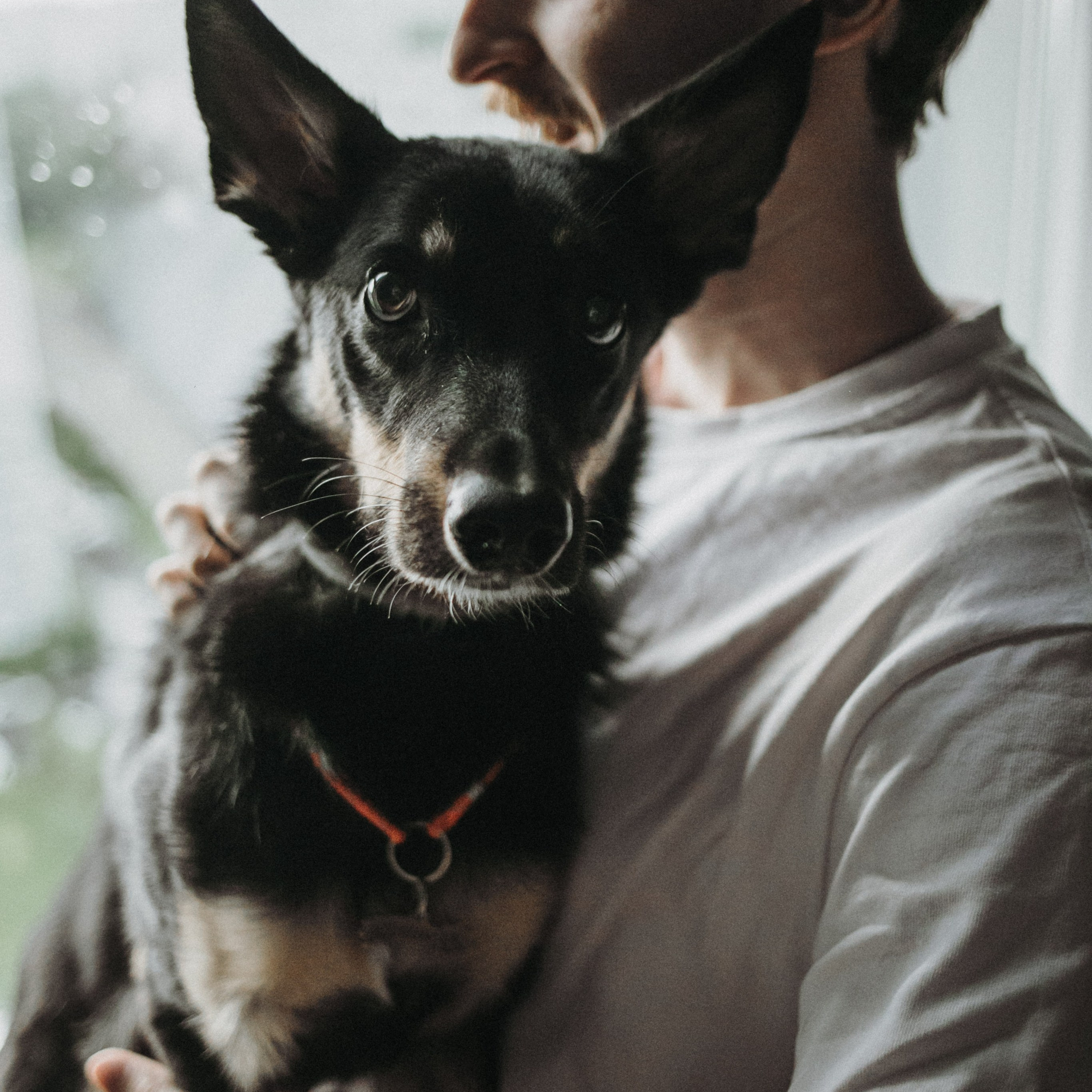 Отзывы. Борисенок Филипп