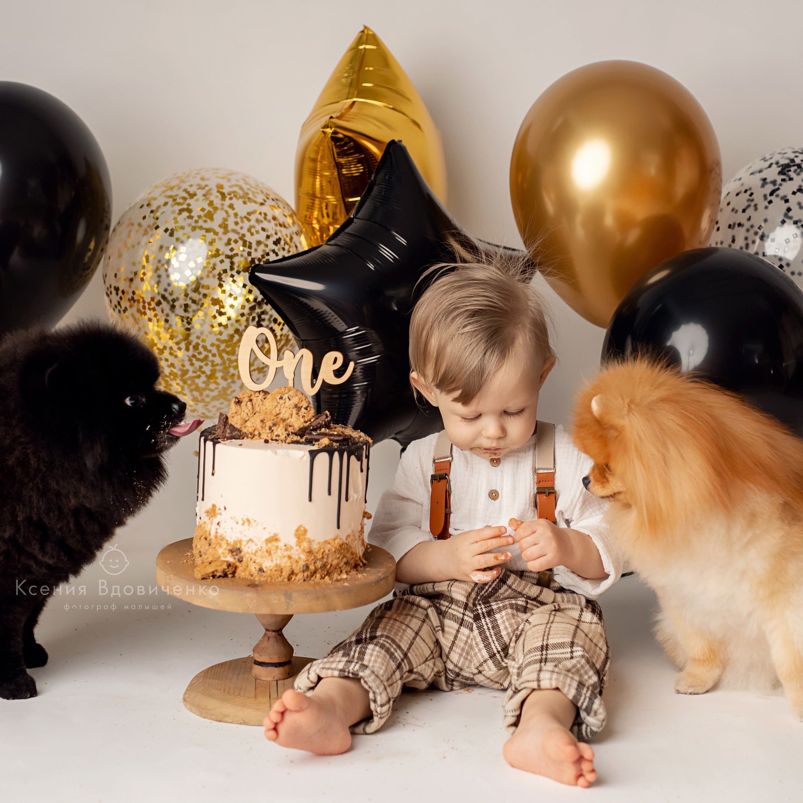 фотосессия на годик с собаками