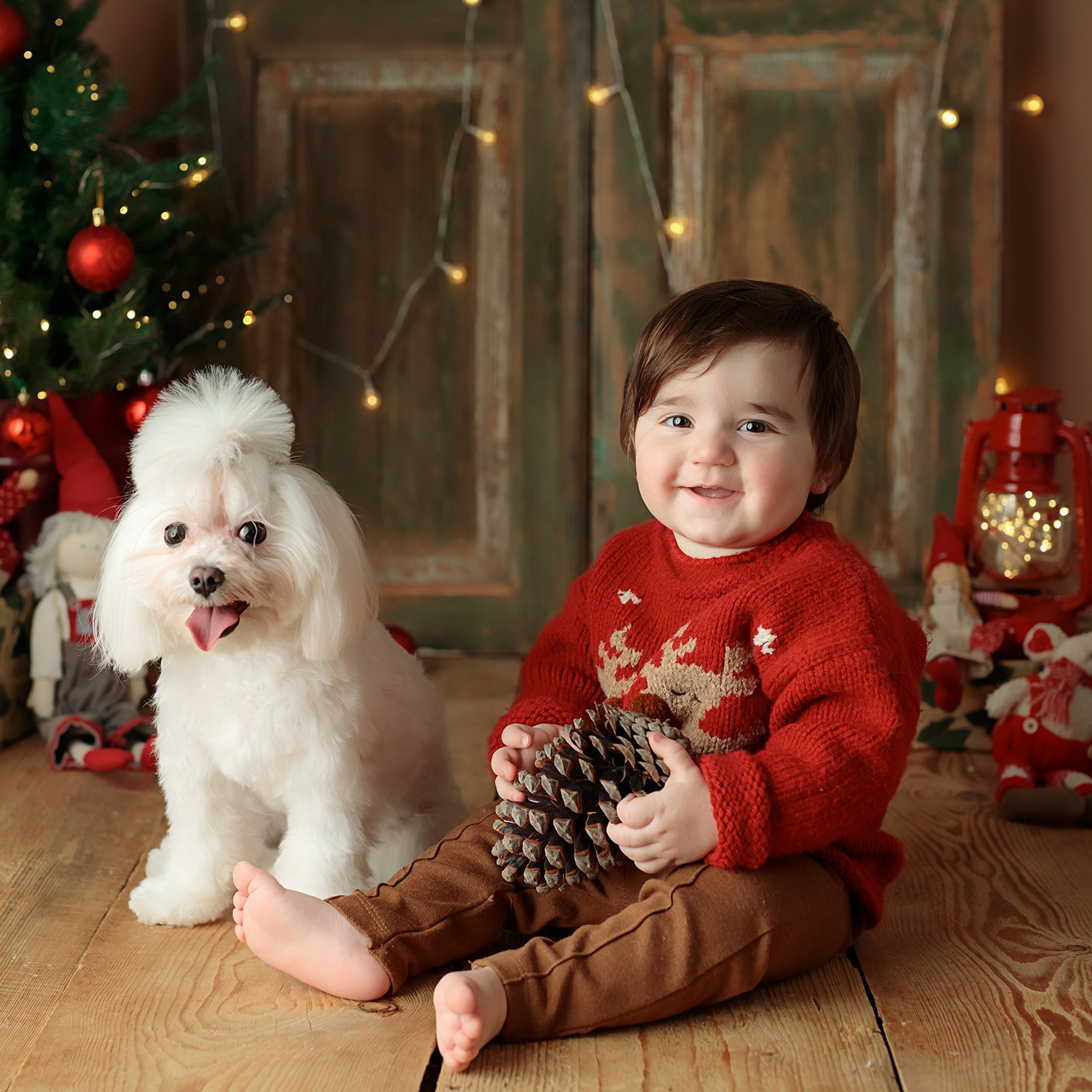 Новогодняя фотосессия в Ростове-на-Дону. Детский фотограф Ростов-на-Дону Ксения Вдовиченко