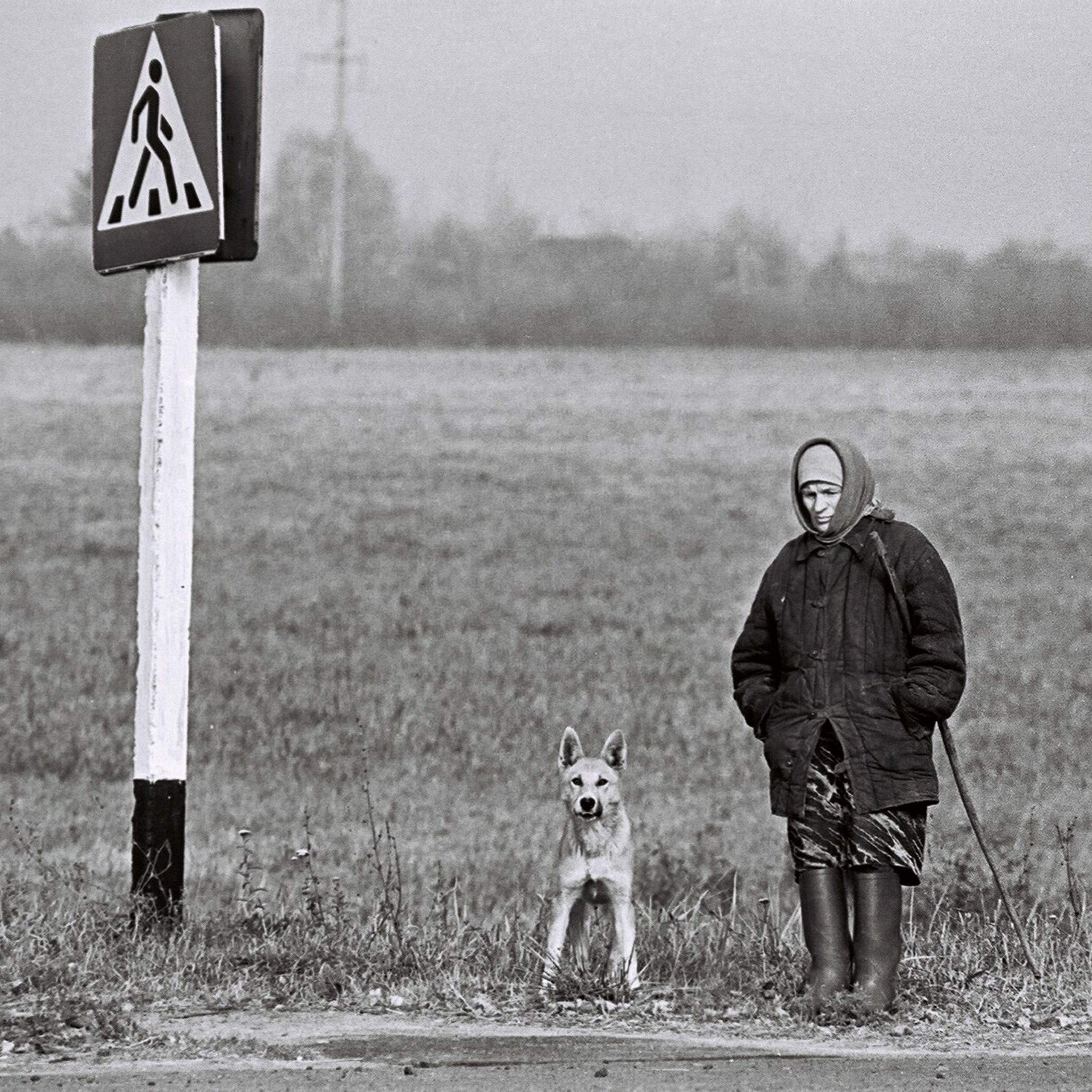 Хроника исчезающей деревни 2001–2016 года