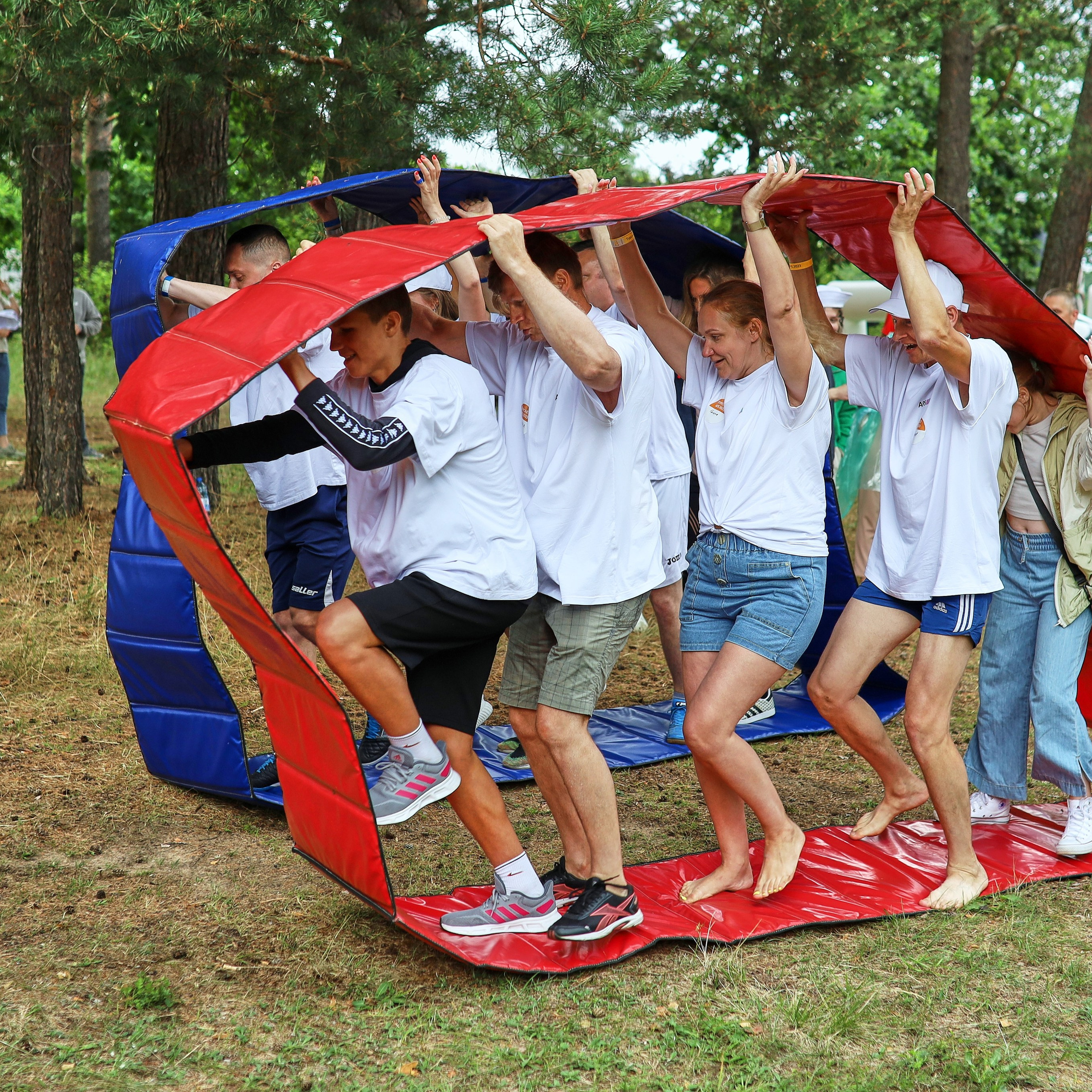 Тимбилдинг — компания APS