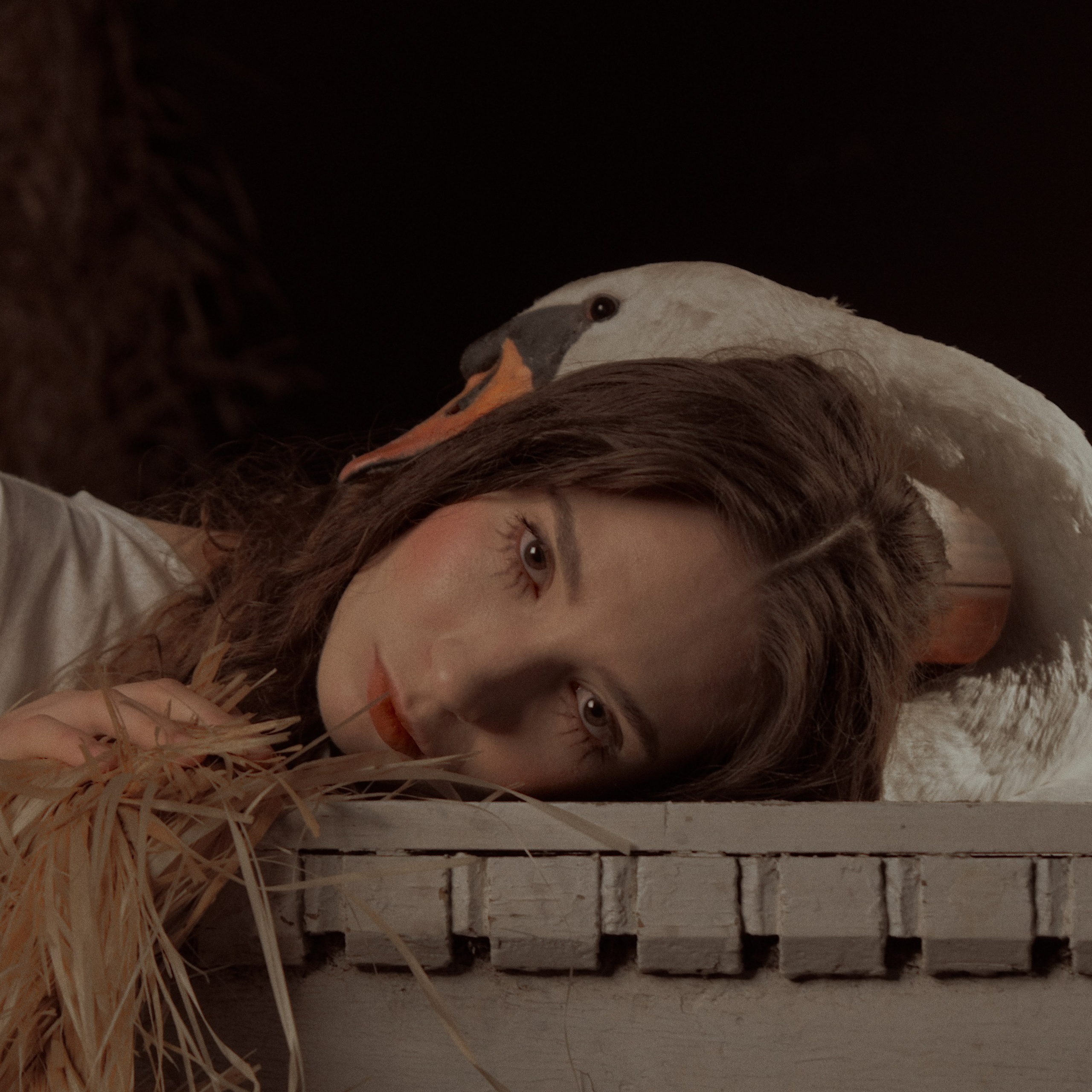 Гуси Лебеди