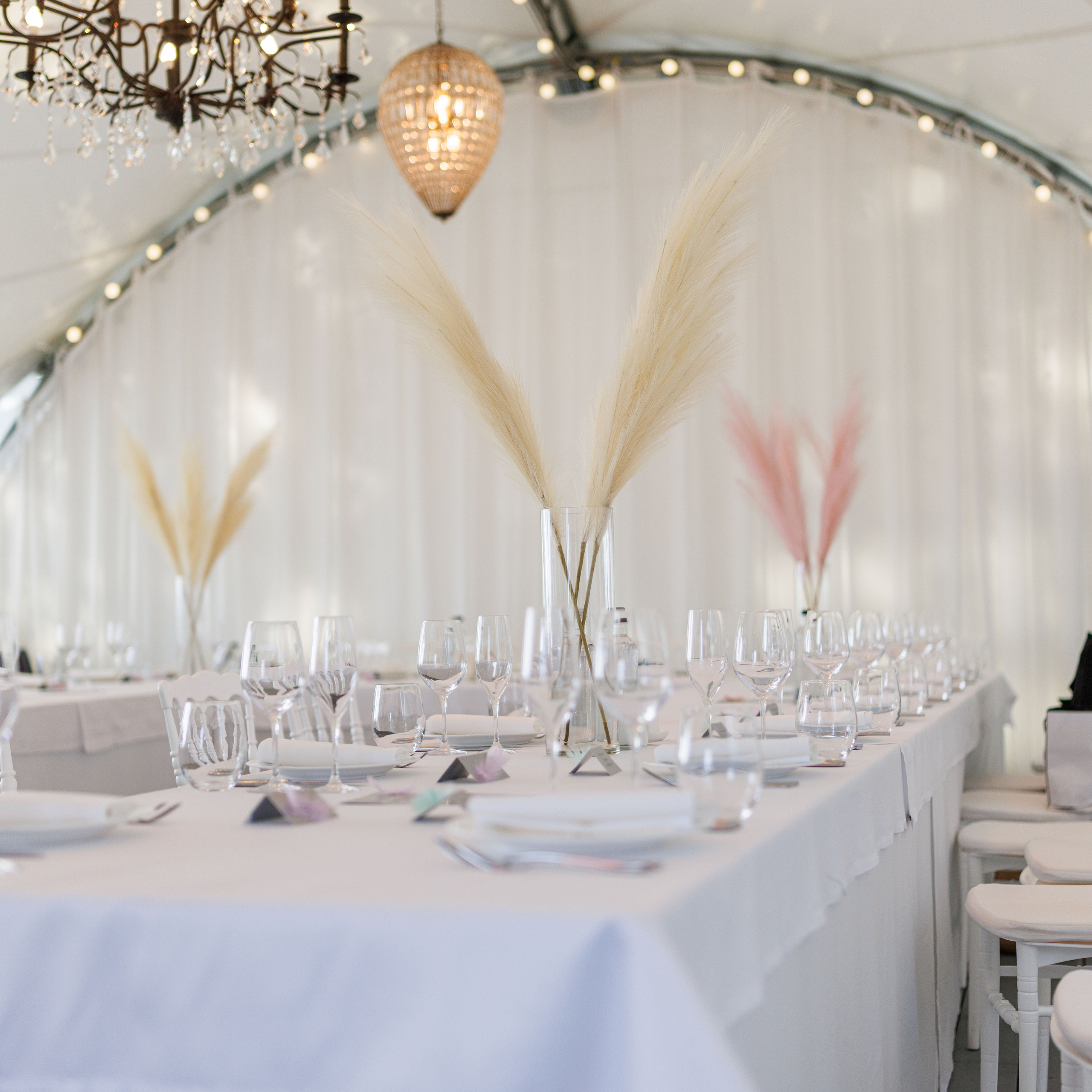 Отзывы. Фотограф Балаев Михаил