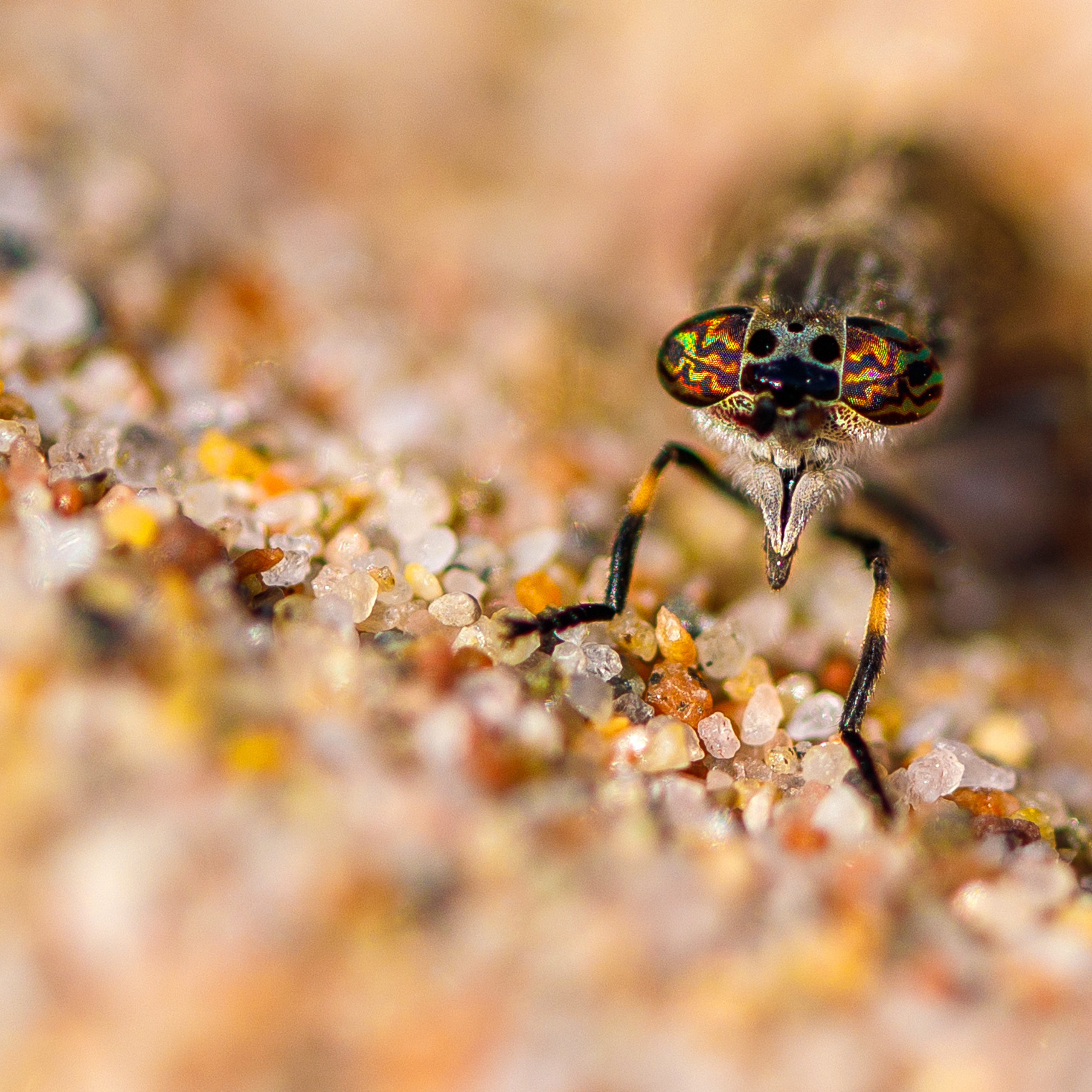 Макро съемка