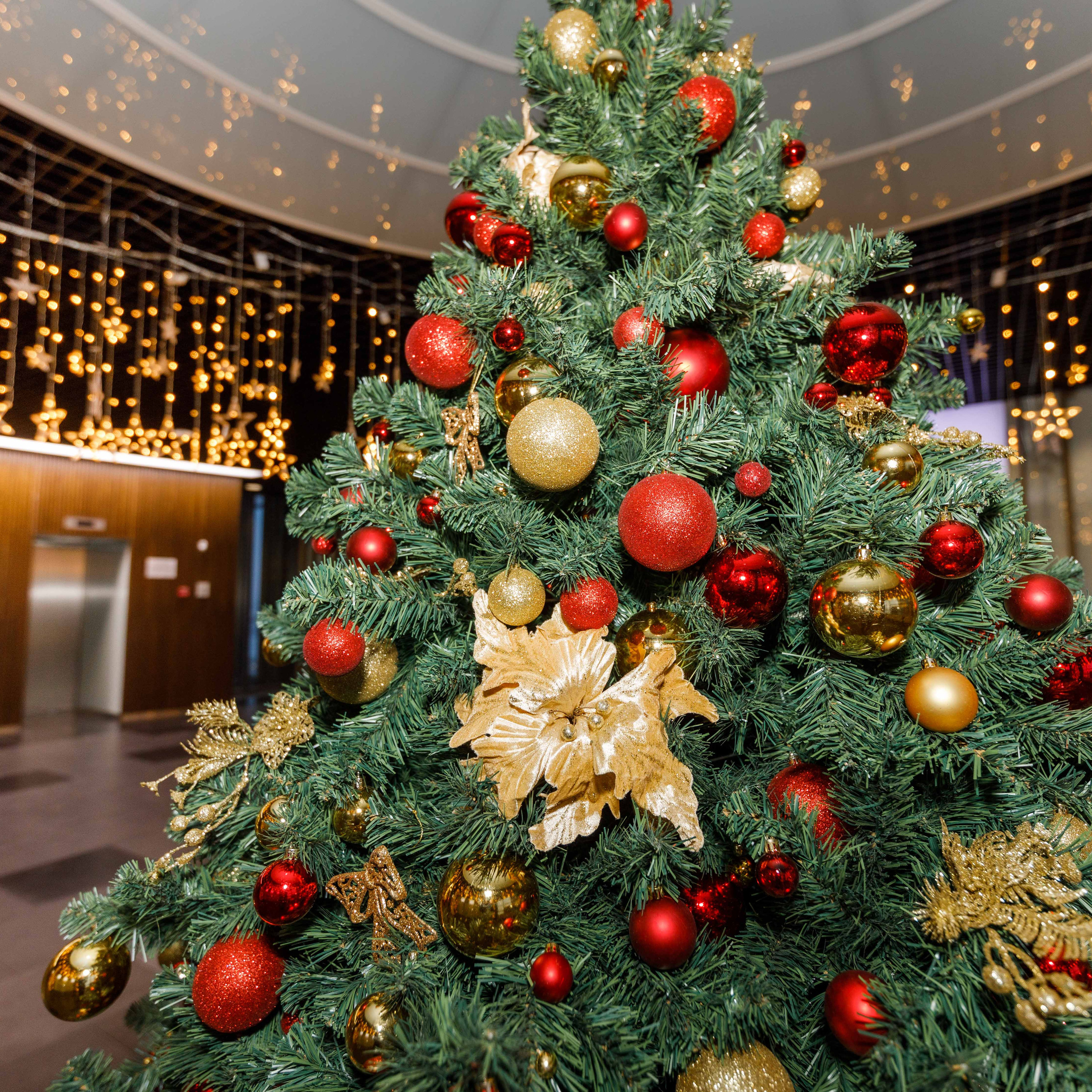 Отзывы. Фотограф Балаев Михаил