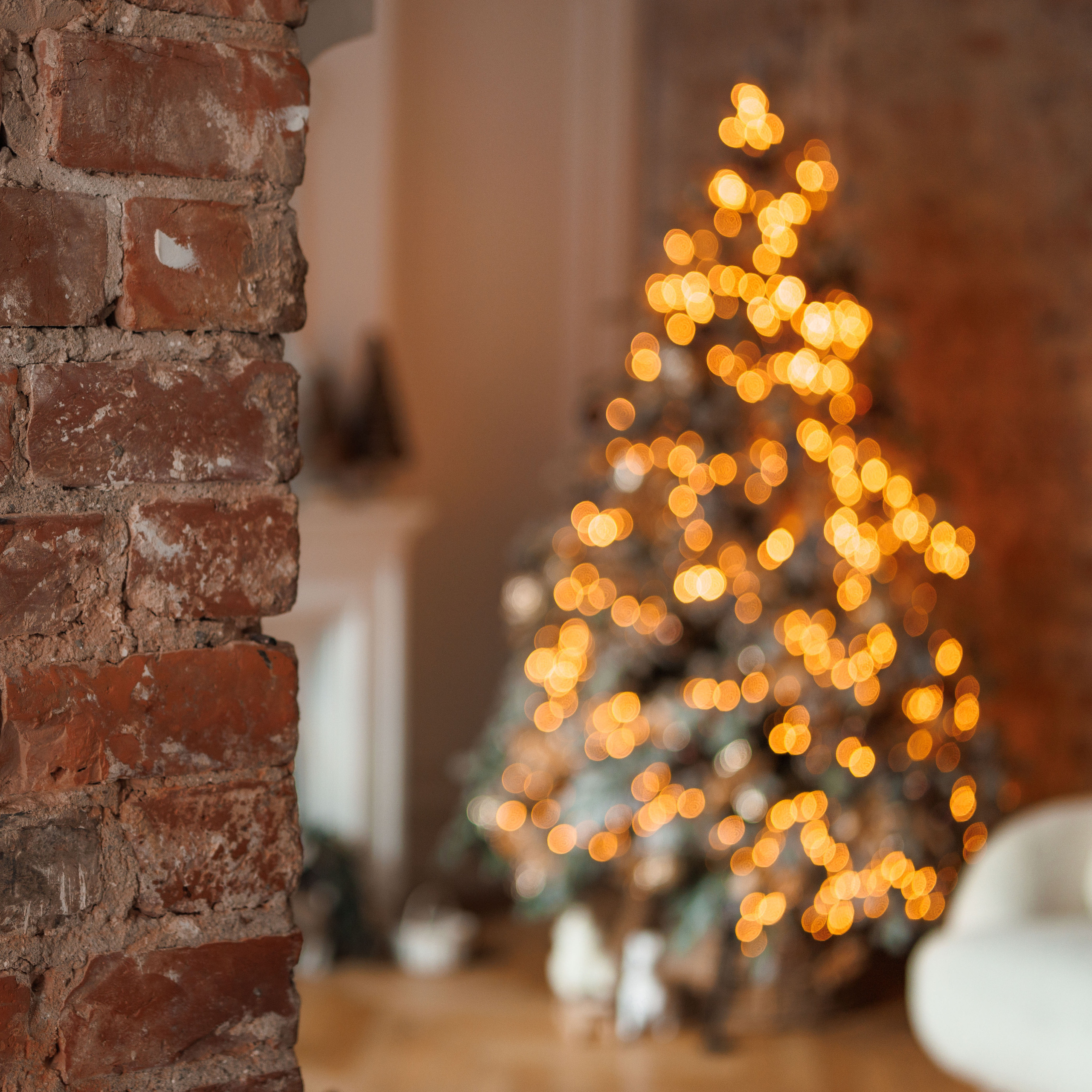 Отзывы. Фотограф Балаев Михаил