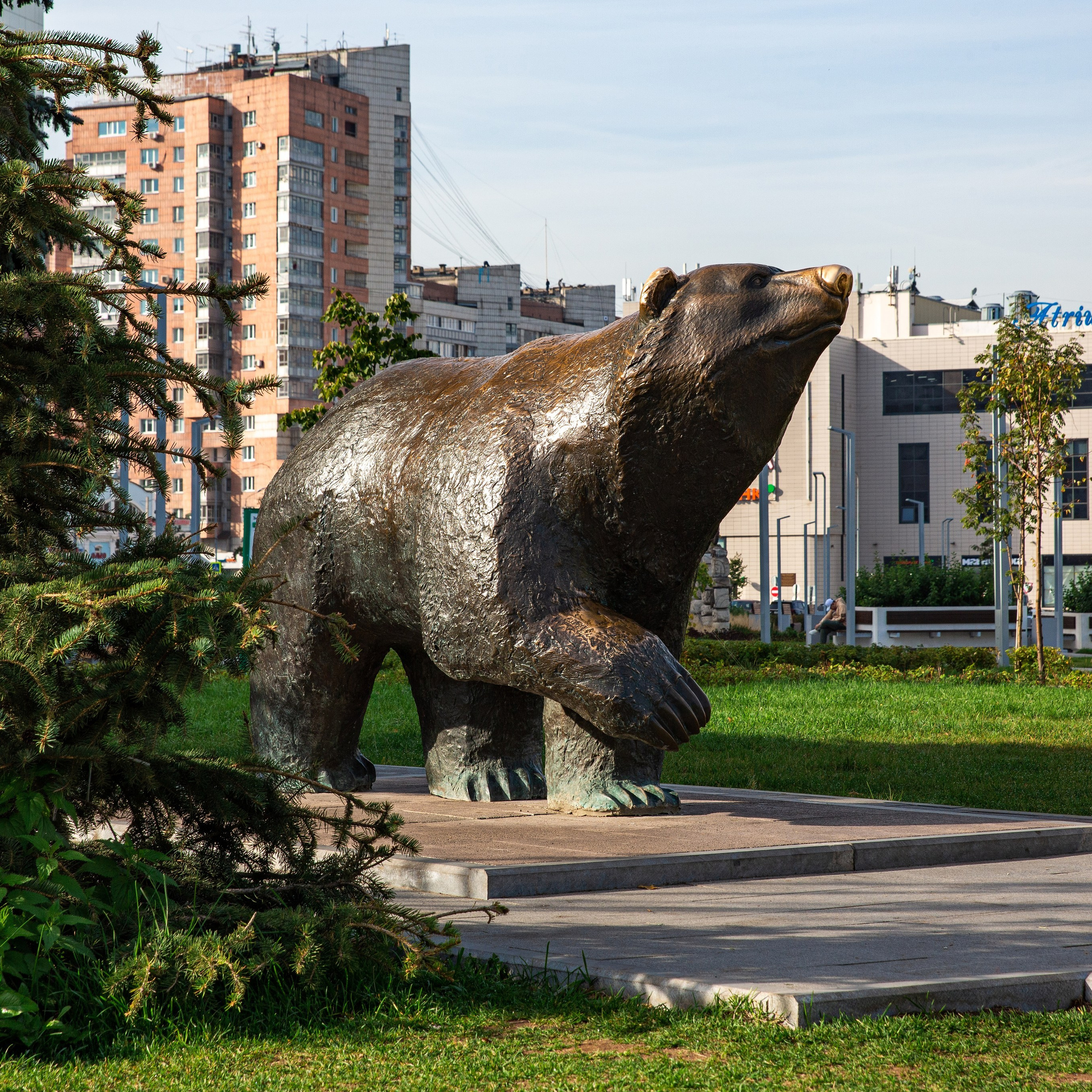 Отзывы. Родион Балков | фотограф | видеограф | Пермь