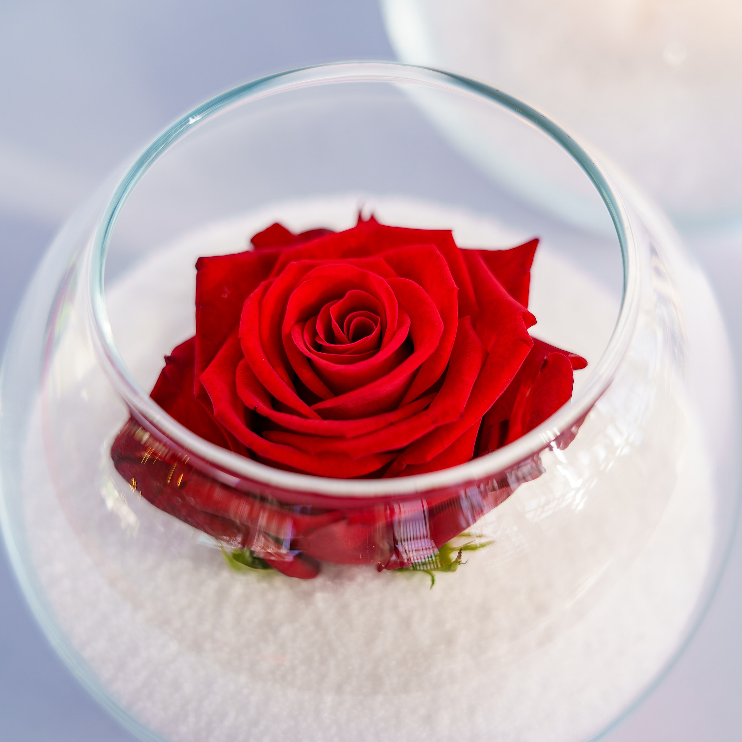 Страница отзывов о нашей работе. «Студия DRONAVT`s» — видеосъёмка и фотография г. Москва