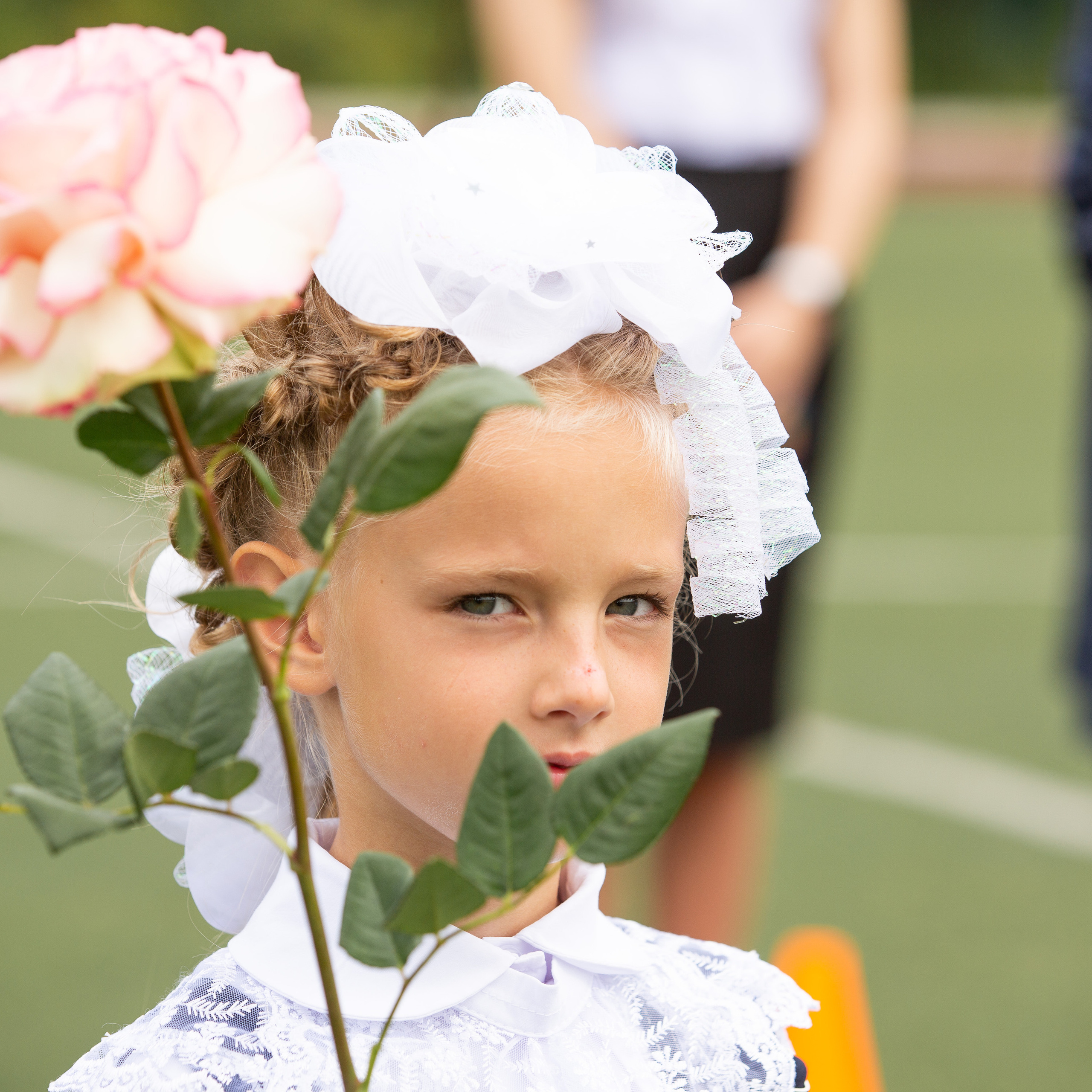 Здесь ^ 1 сентября