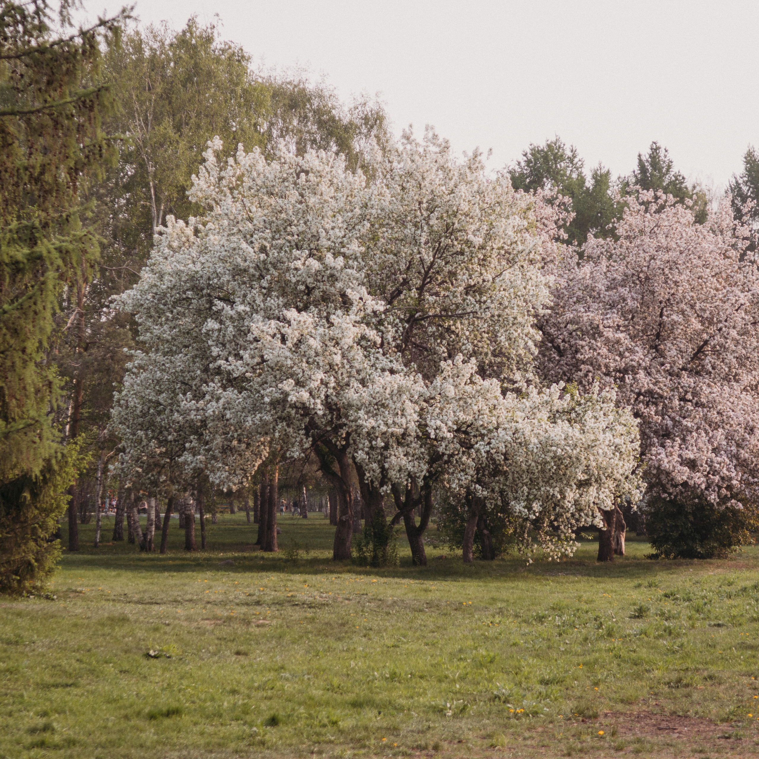 НАШИ РАБОТЫ. Семейный фотограф в Екатеринбурге Всеволод и Марина Пономаревы