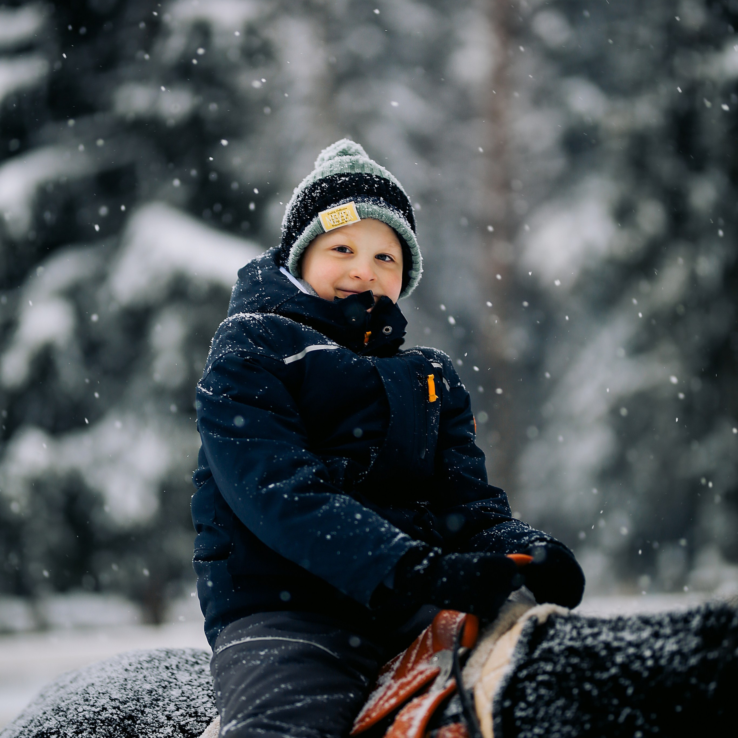 С лошадками