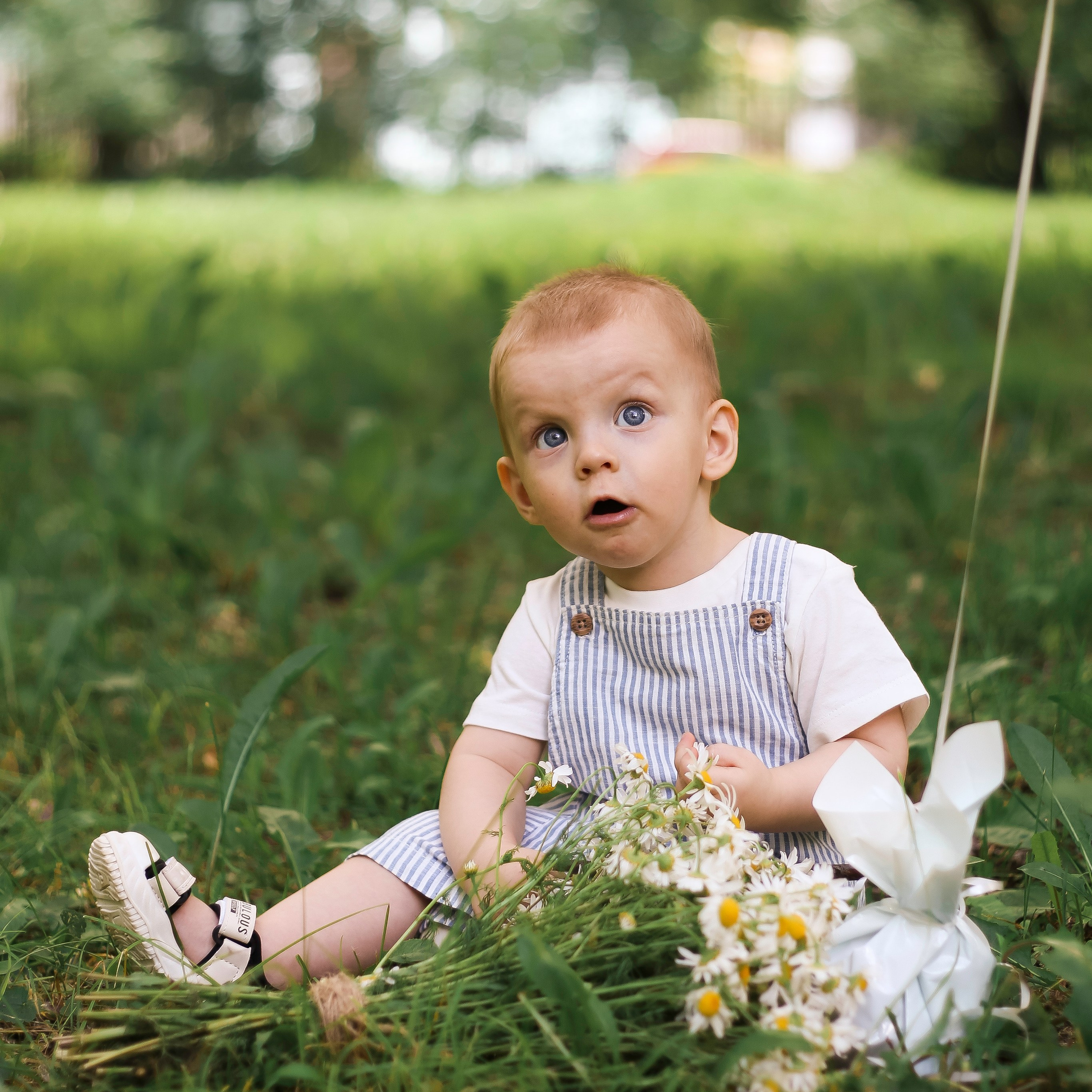 Годик с ромашками