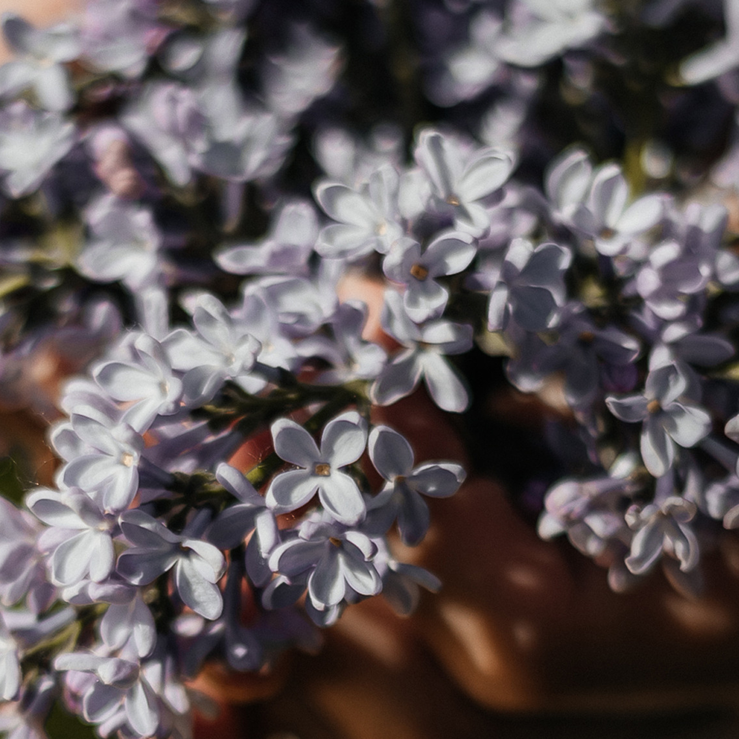 Отзывы. Свадебный фотограф в Москве Гоцман Анастасия