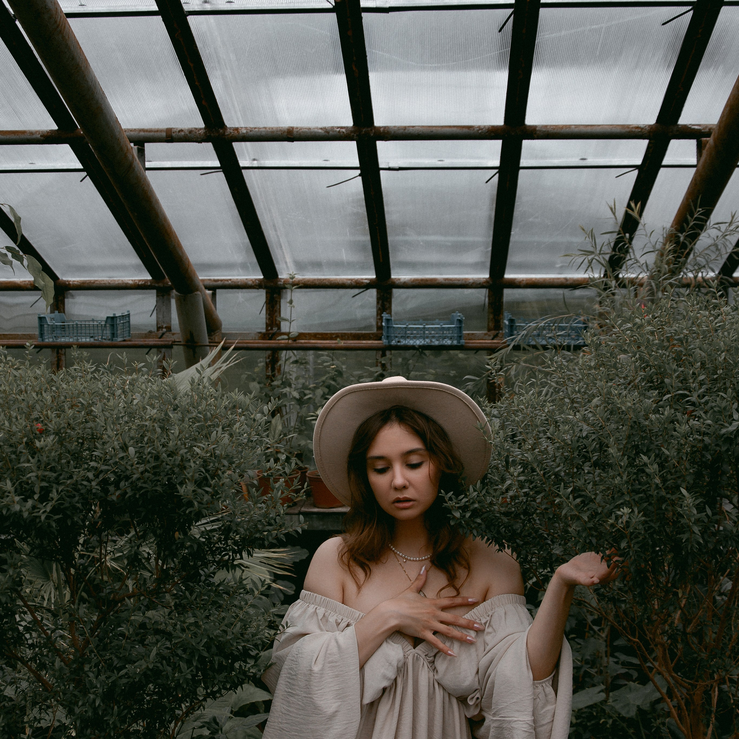 Света. Конек-горбунок