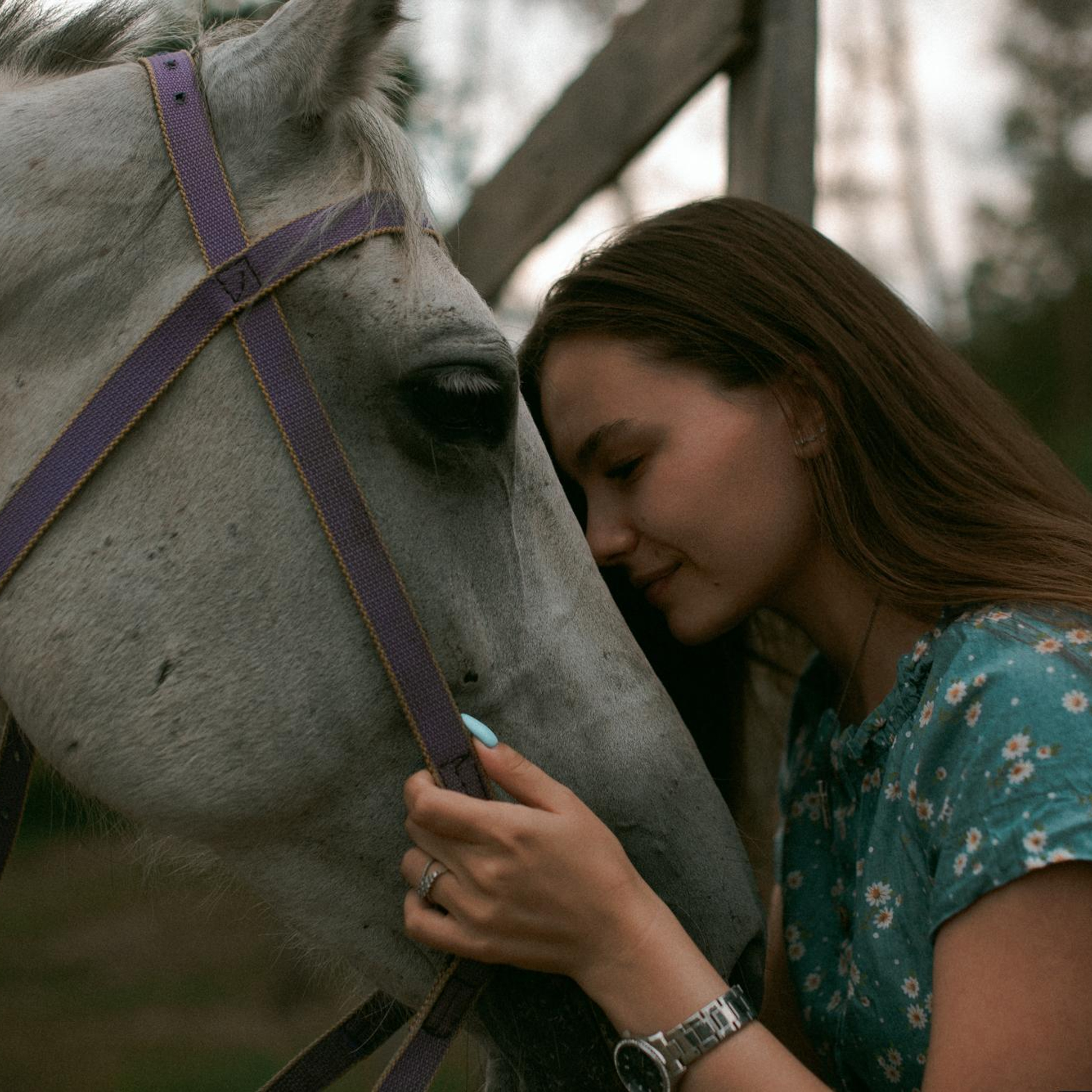 Наташа. Конная прогулка