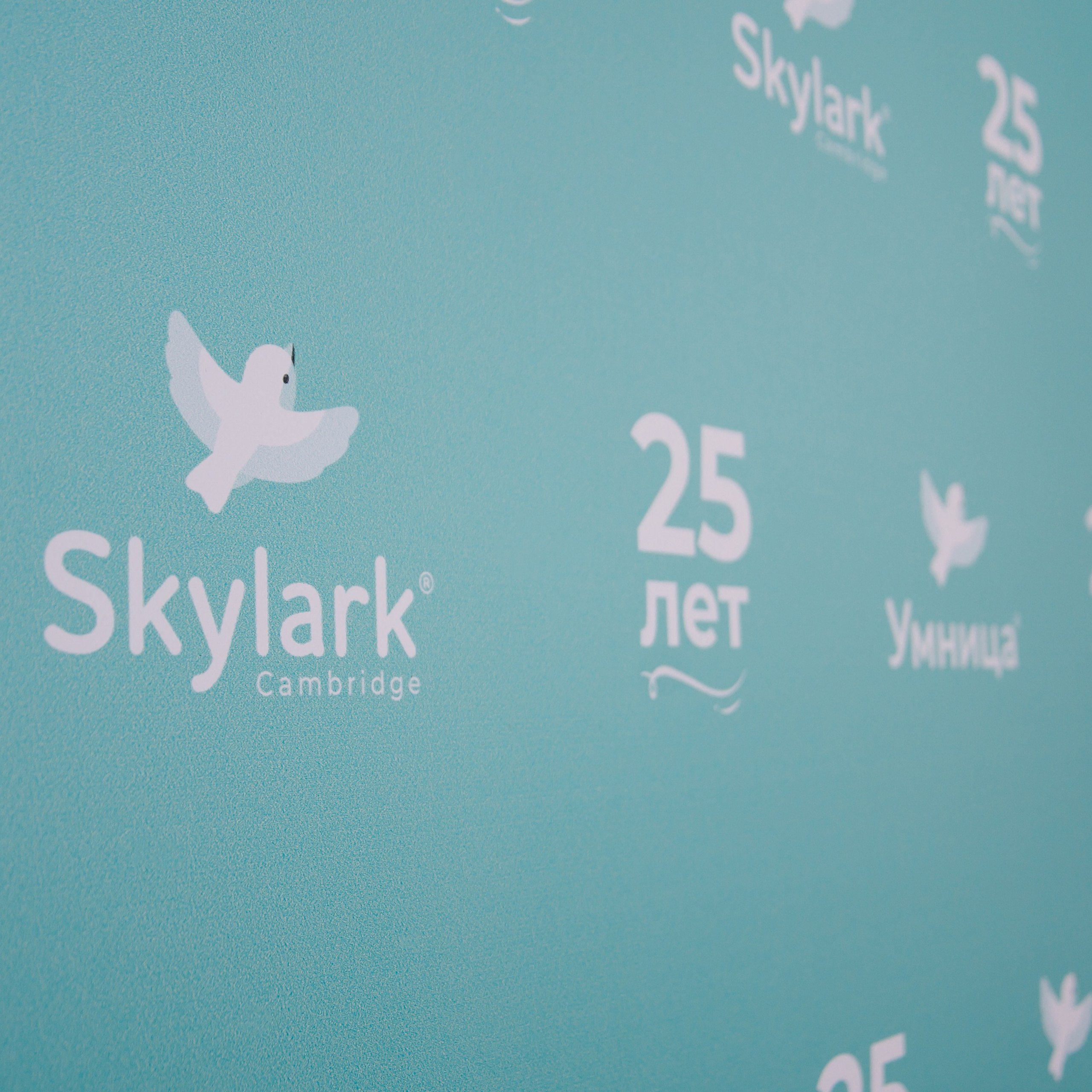 Корпоратив компании «Умница»