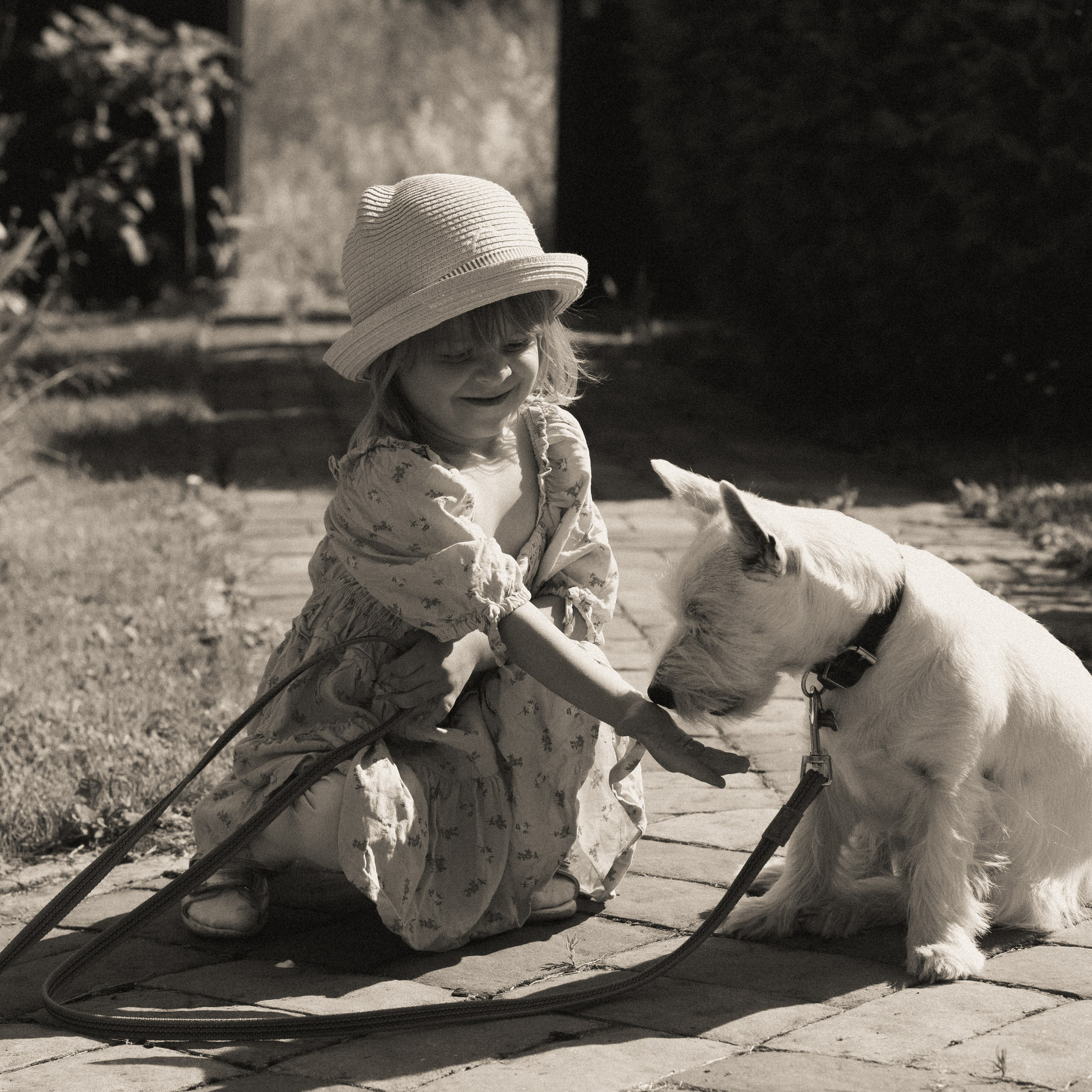 Семейный день