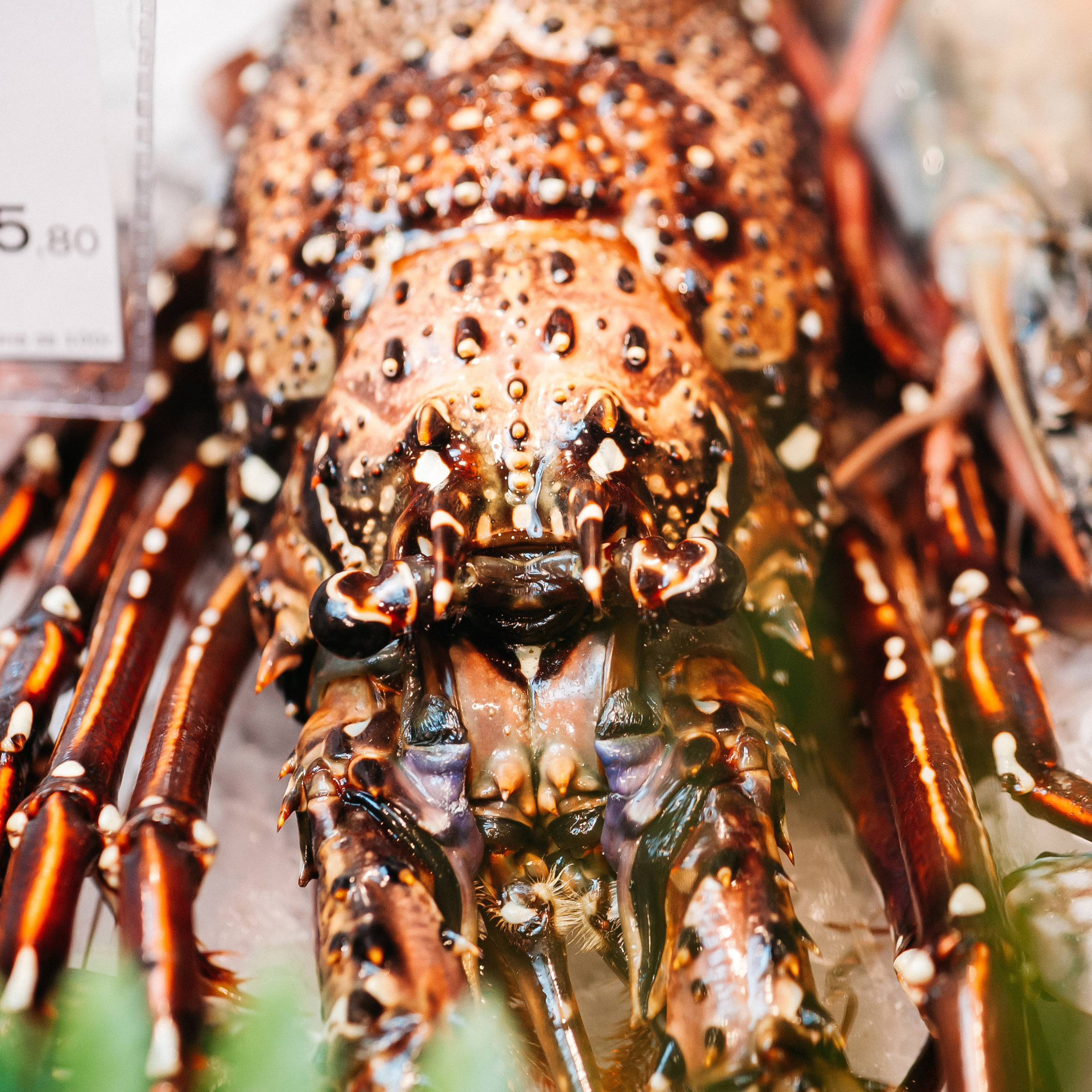 Азбука вкуса