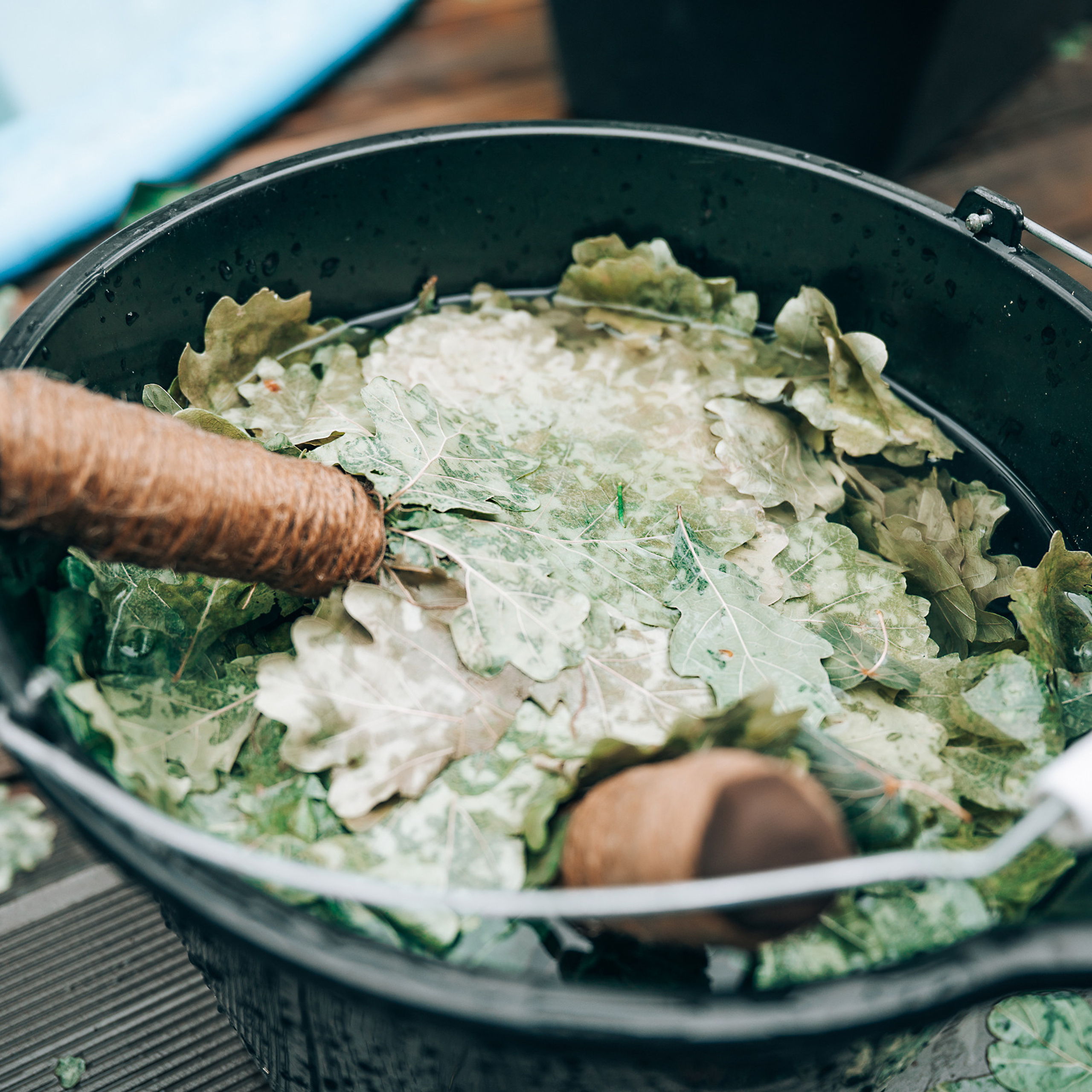 Чемпионат России по банному парению