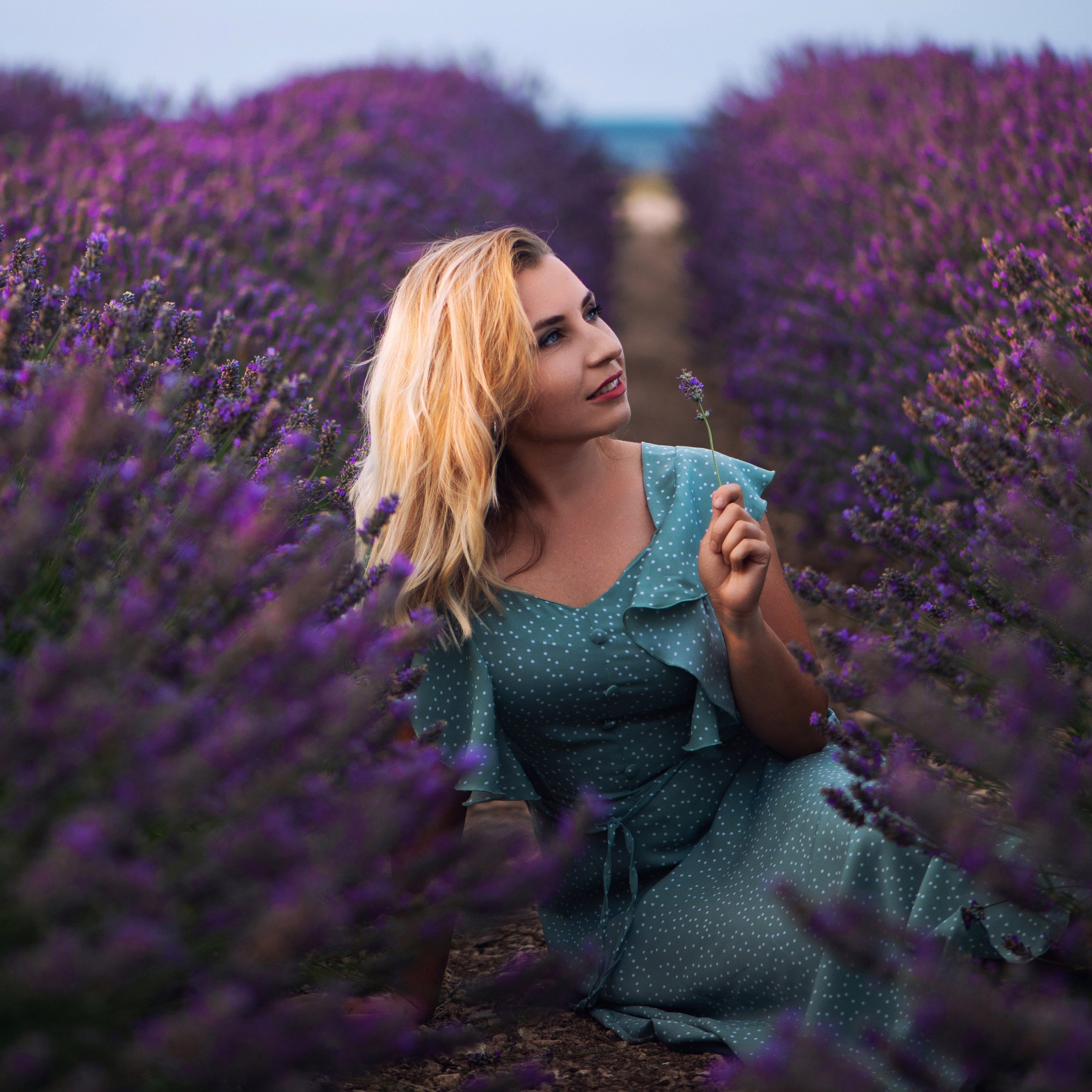 Лавандовые фотосессии. Свадебный фотограф в Крыму