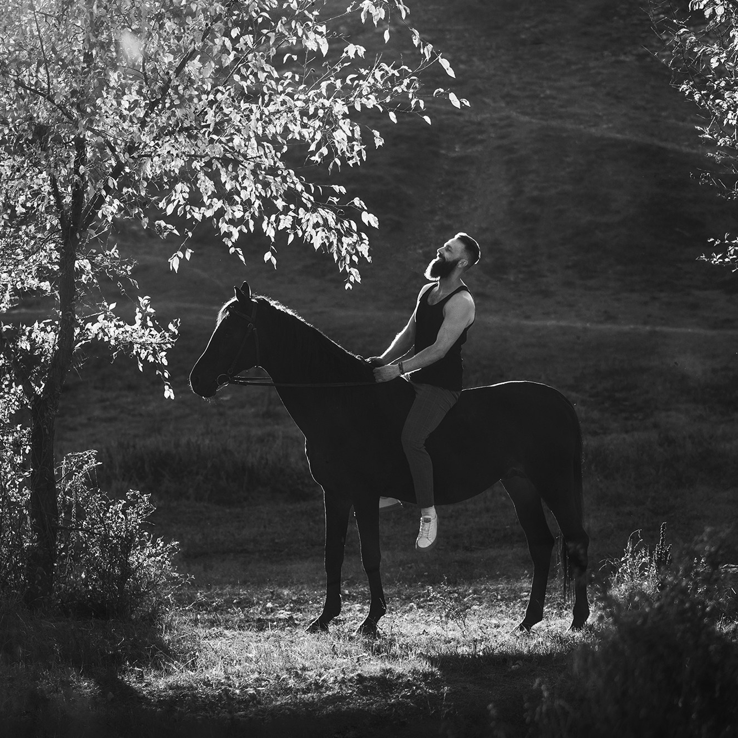 Конные фотосессии. Свадебный фотограф в Крыму