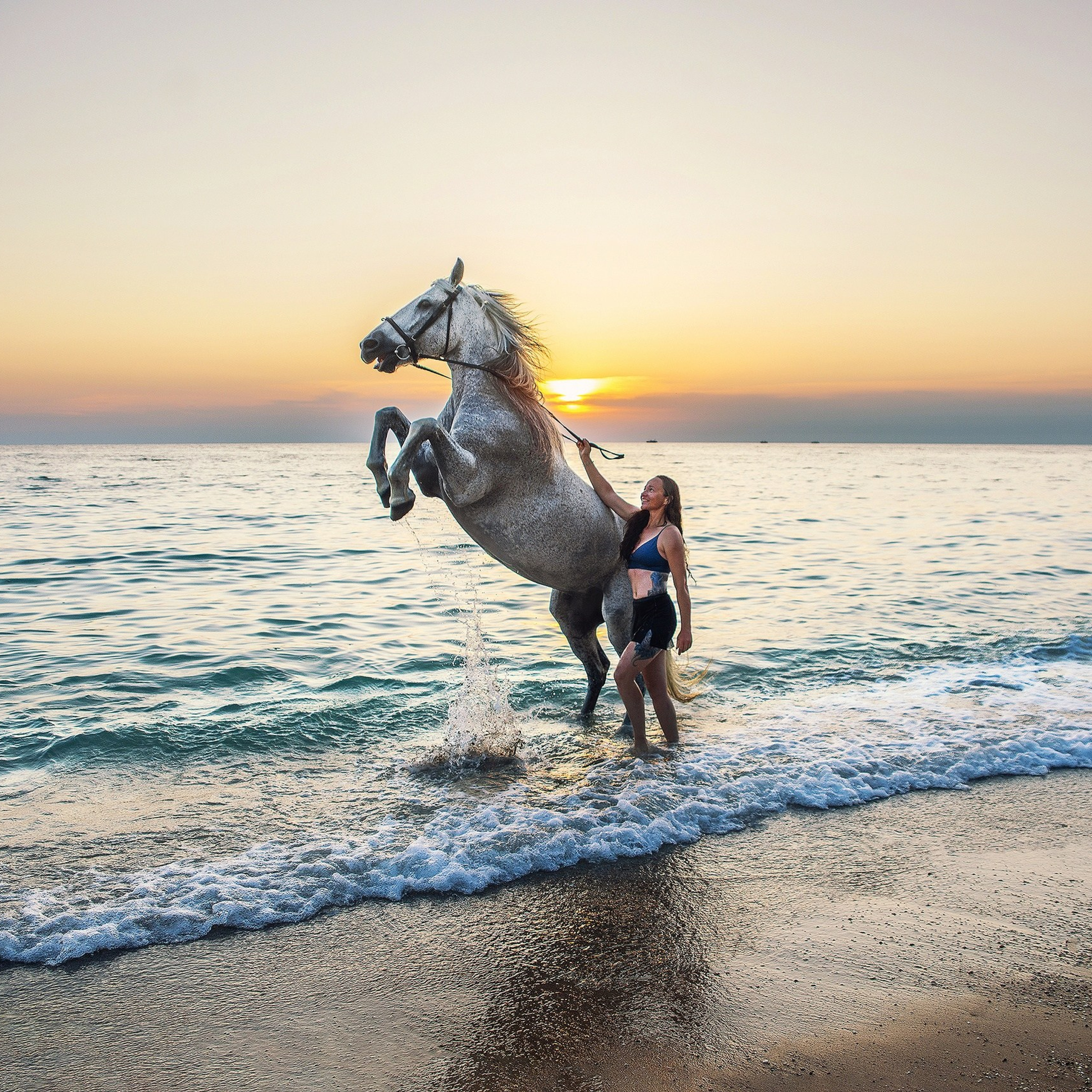 Конные фотосессии. Свадебный фотограф в Крыму