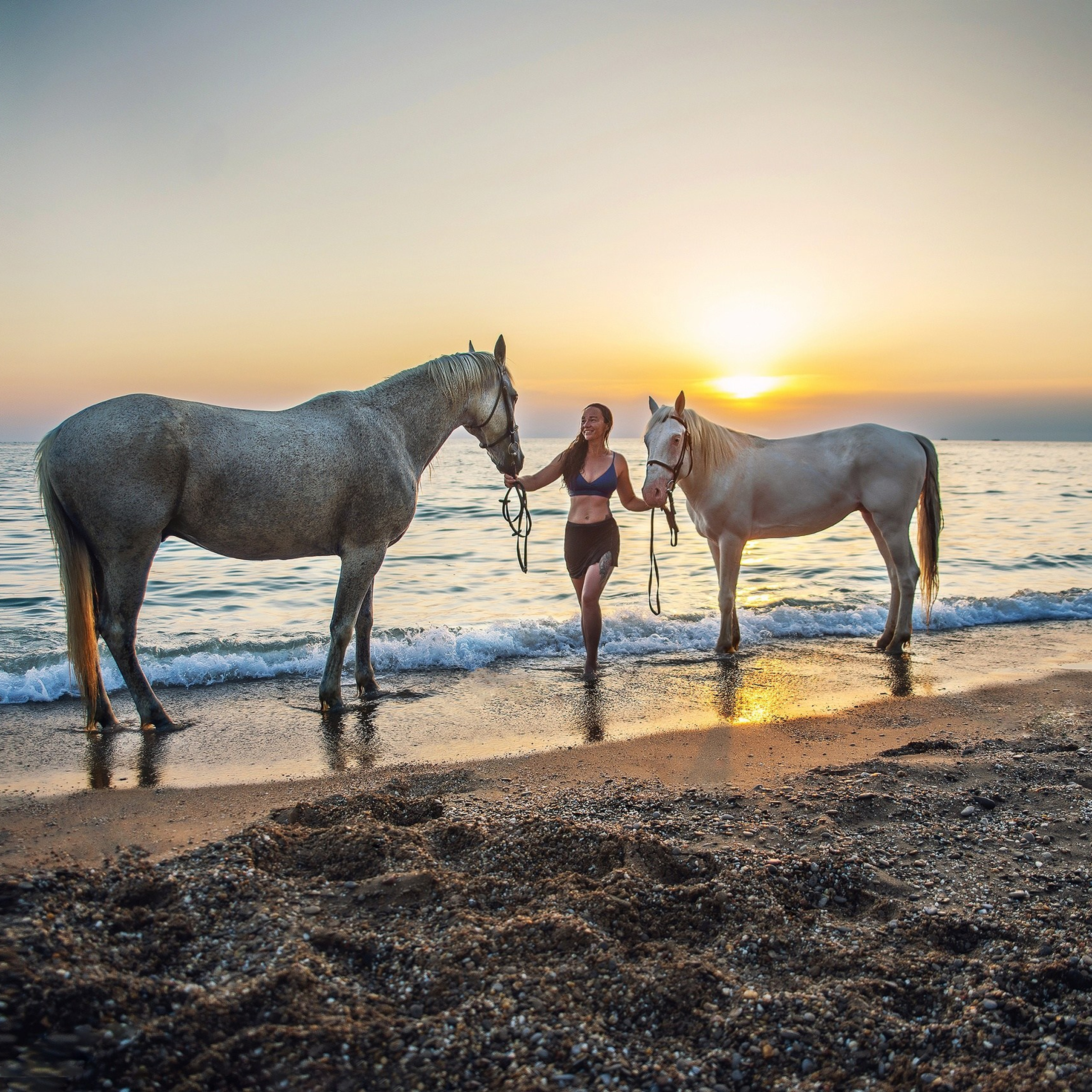 Конные фотосессии. Свадебный фотограф в Крыму