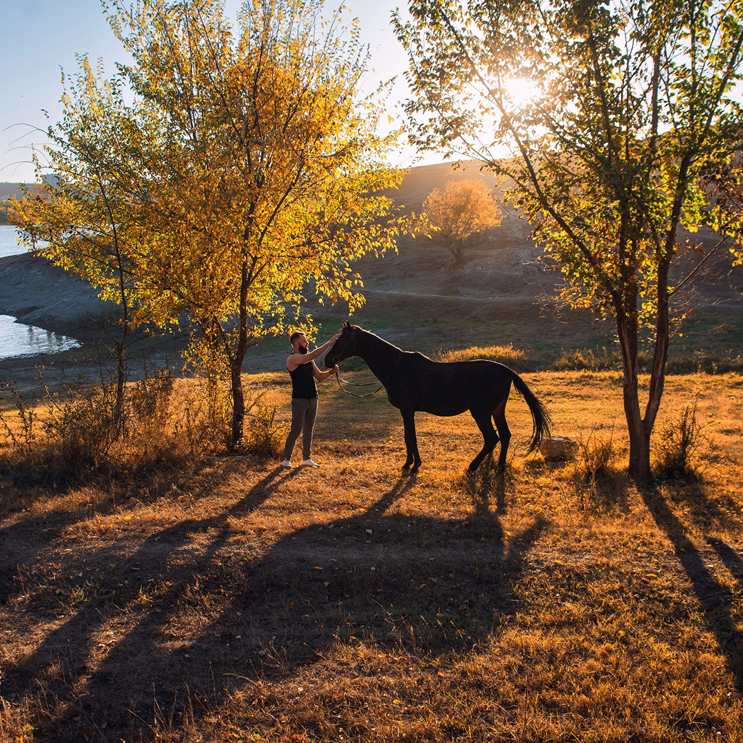 Конные фотосессии. Свадебный фотограф в Крыму