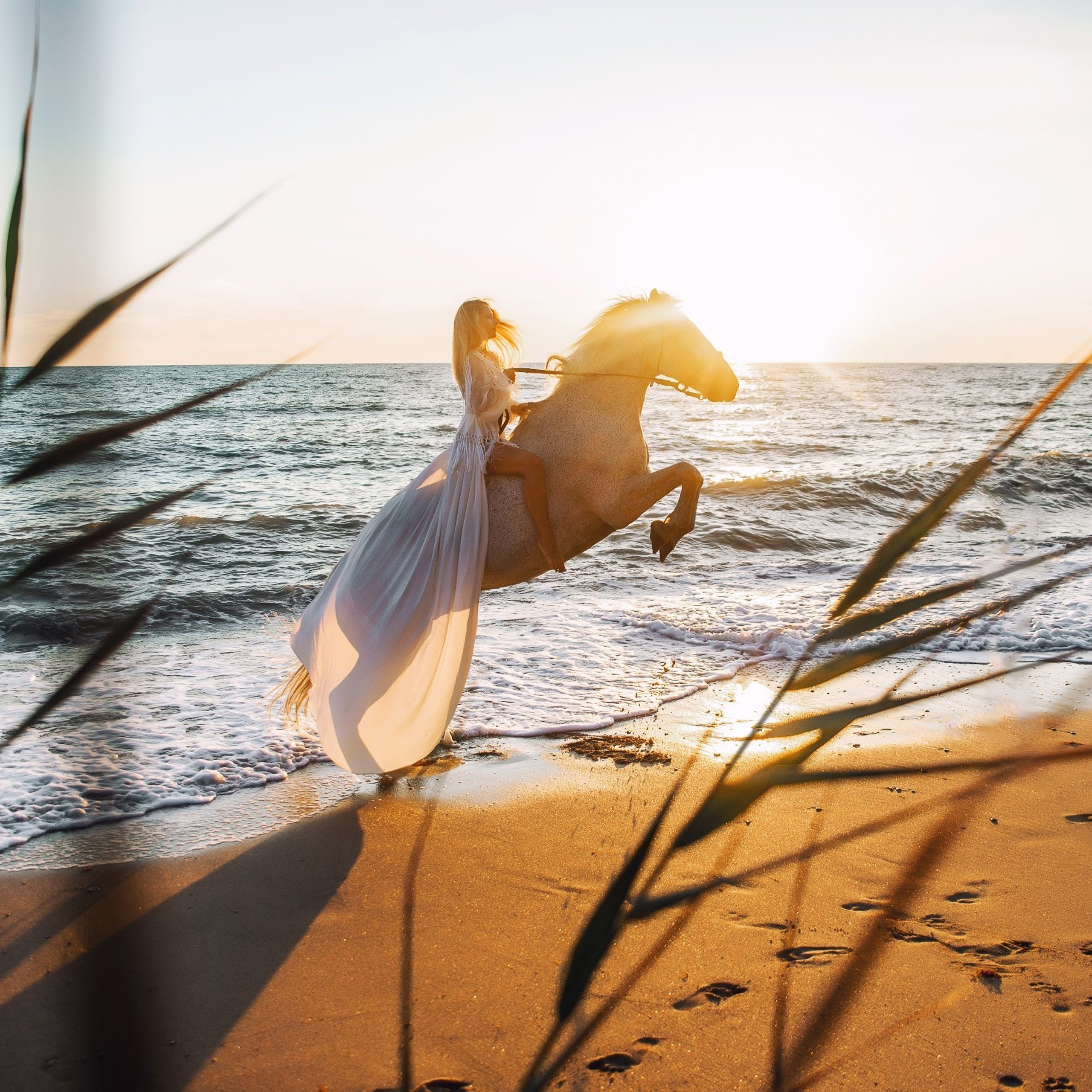 Конные фотосессии. Свадебный фотограф в Крыму