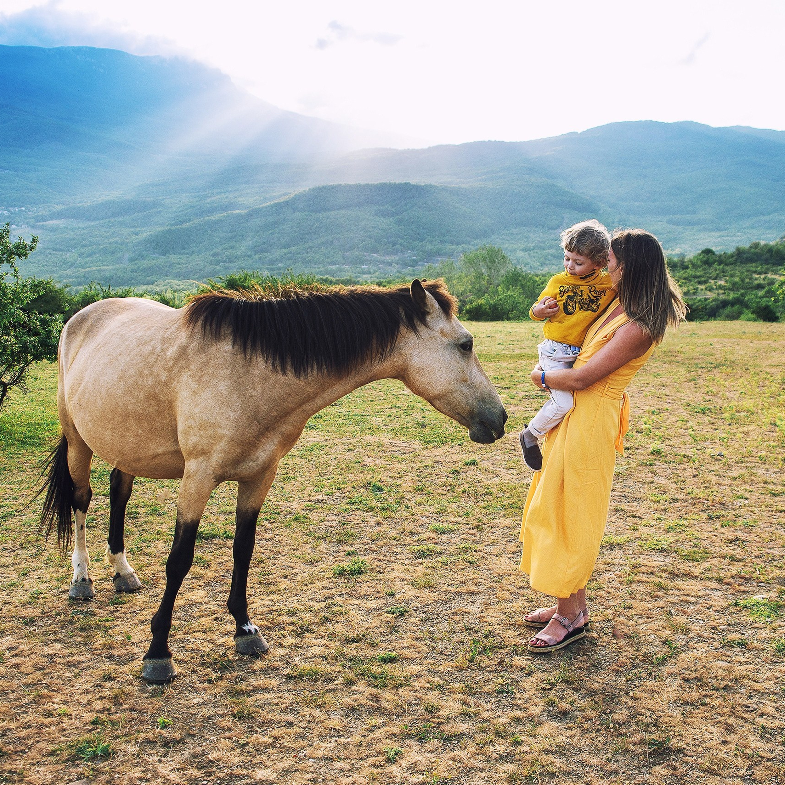 Конные фотосессии. Свадебный фотограф в Крыму