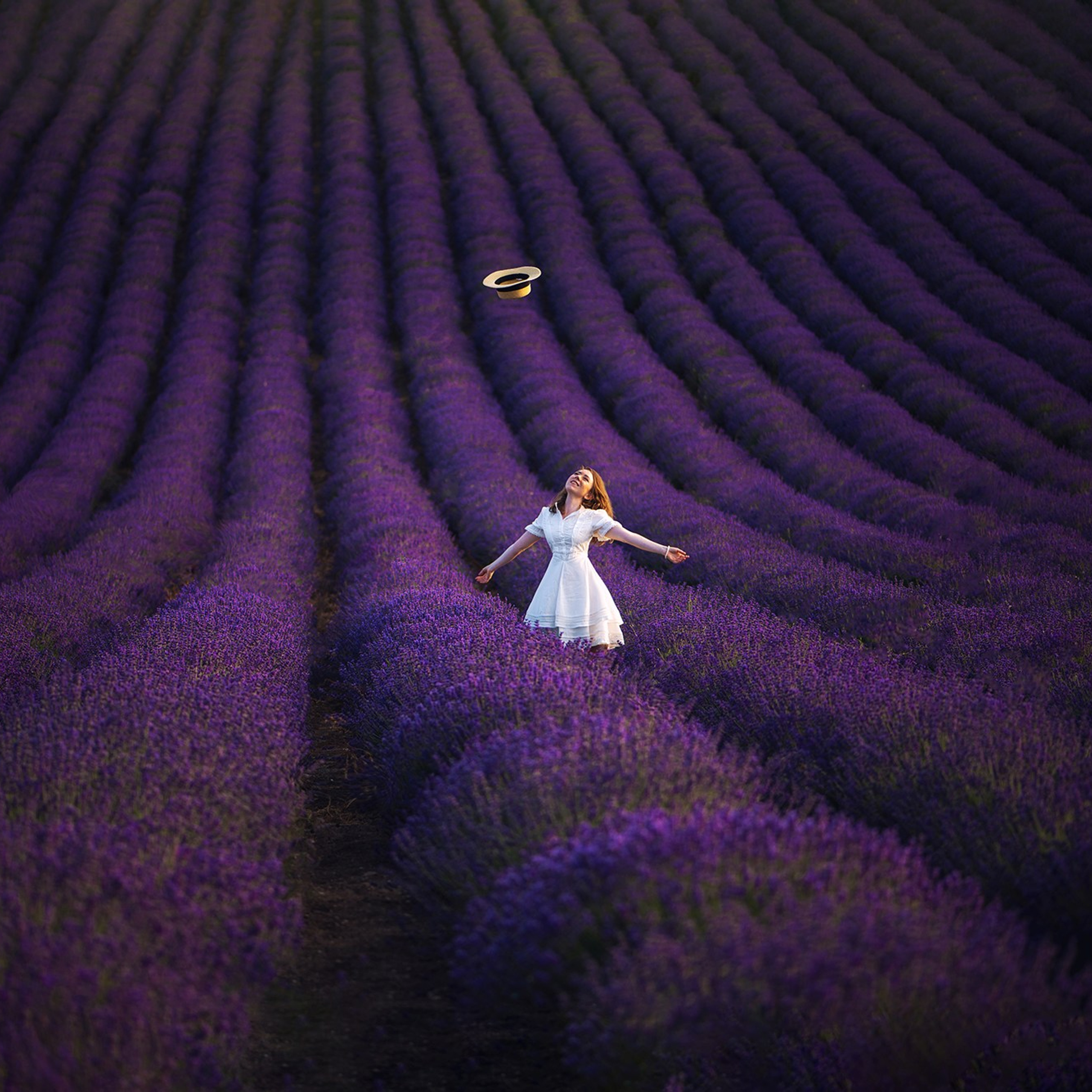 Лавандовые фотосессии. Свадебный фотограф в Крыму