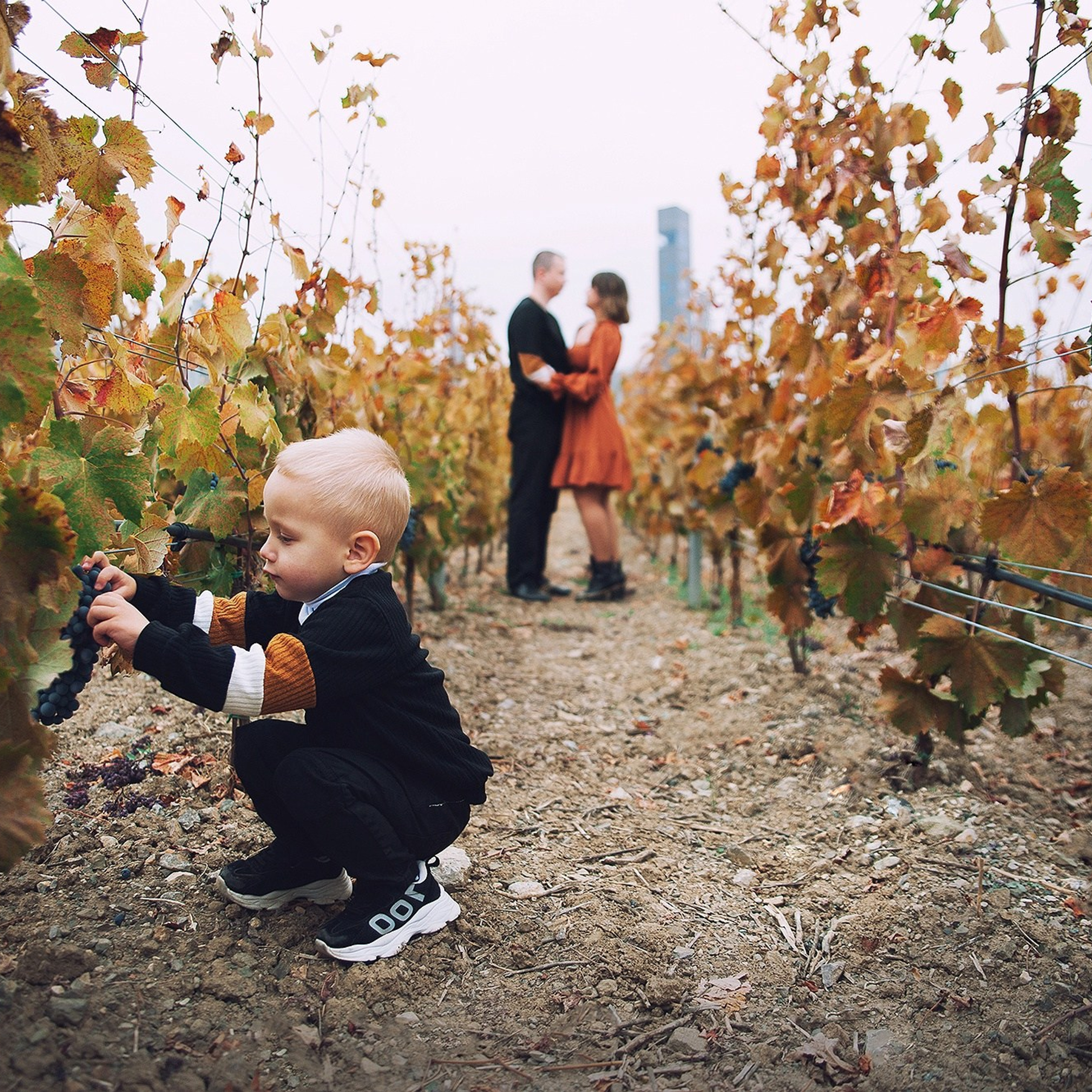 Семейные фотосессии. Свадебный фотограф в Крыму