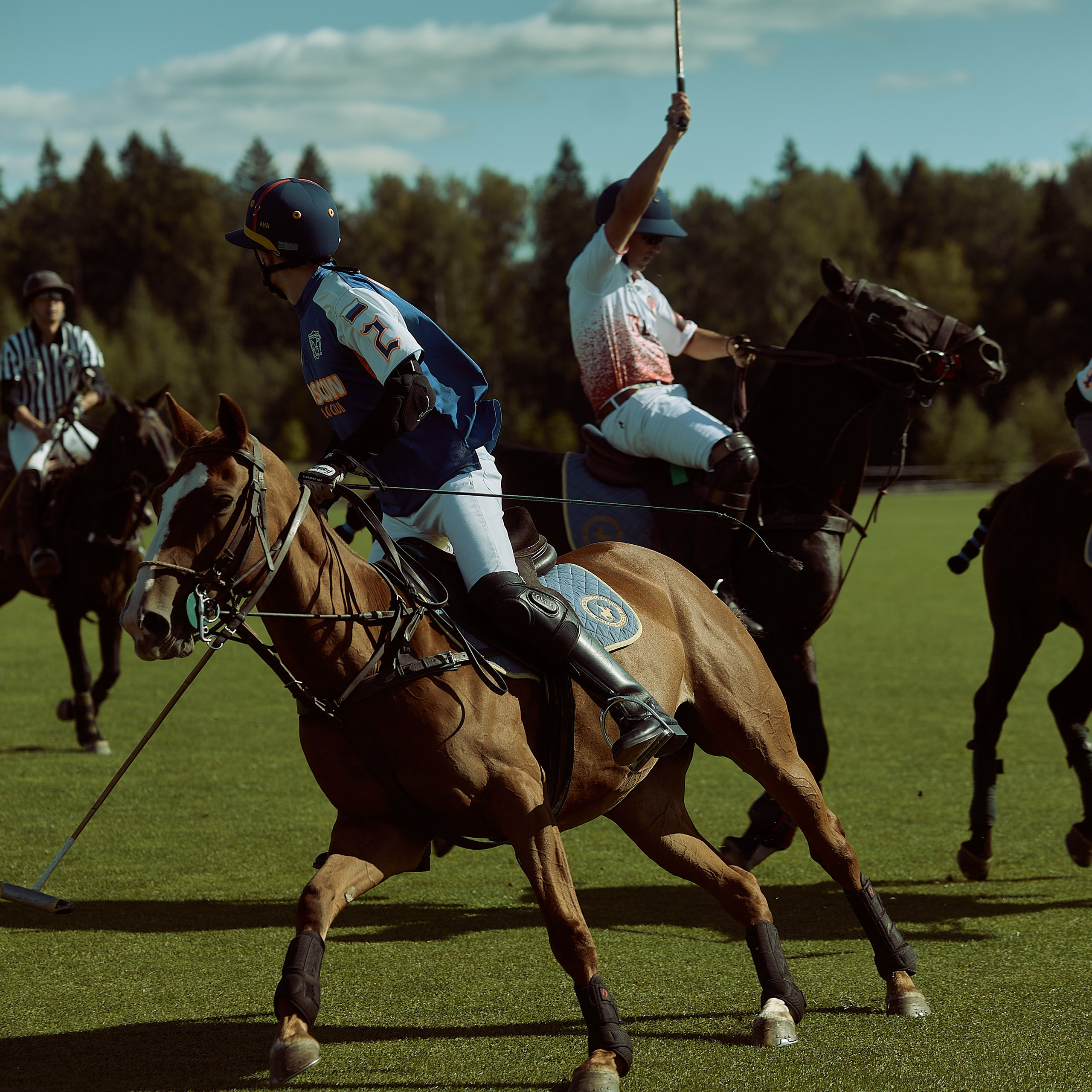 HORSE POLO