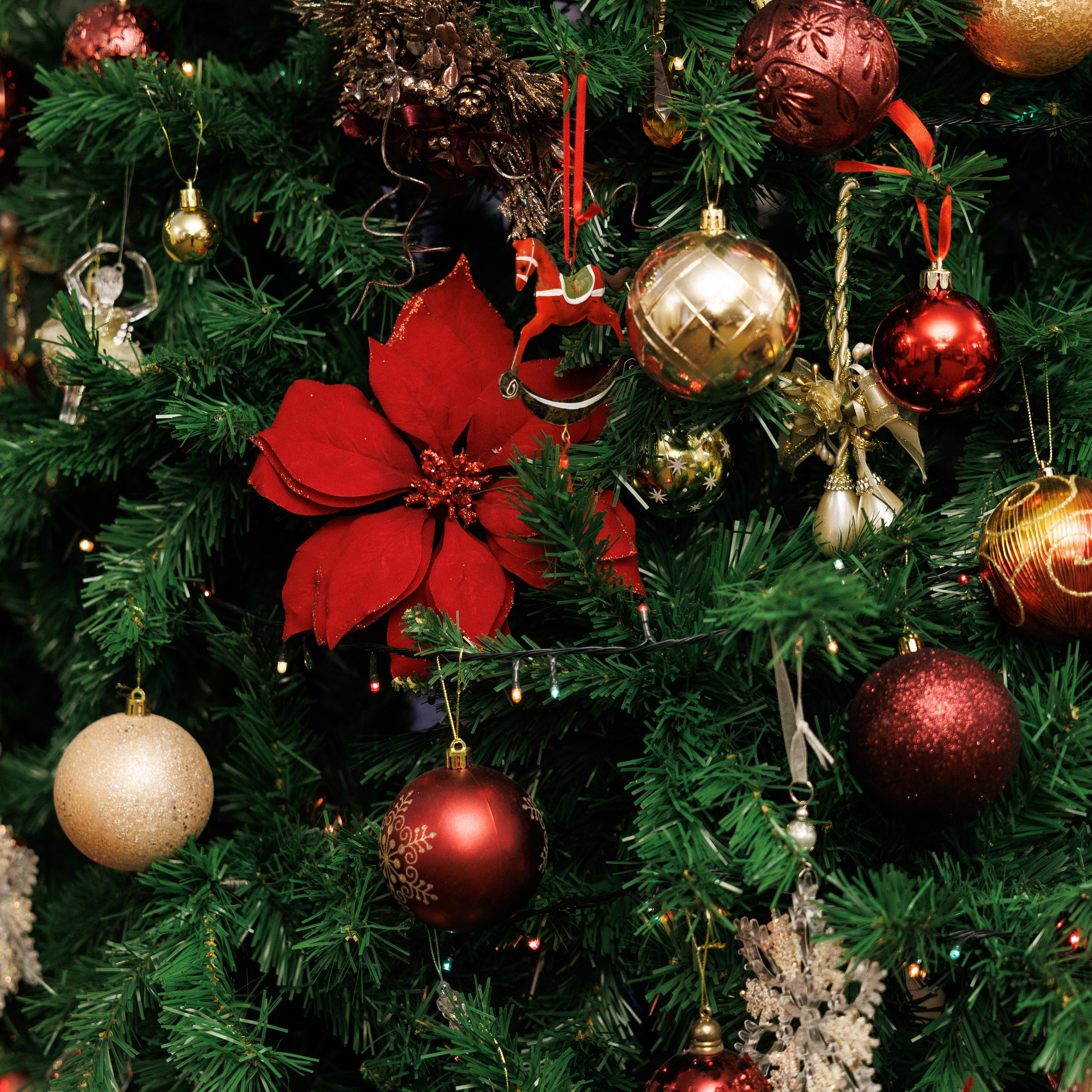 Отзывы. Свадебный, семейный фотограф Миронов Максим