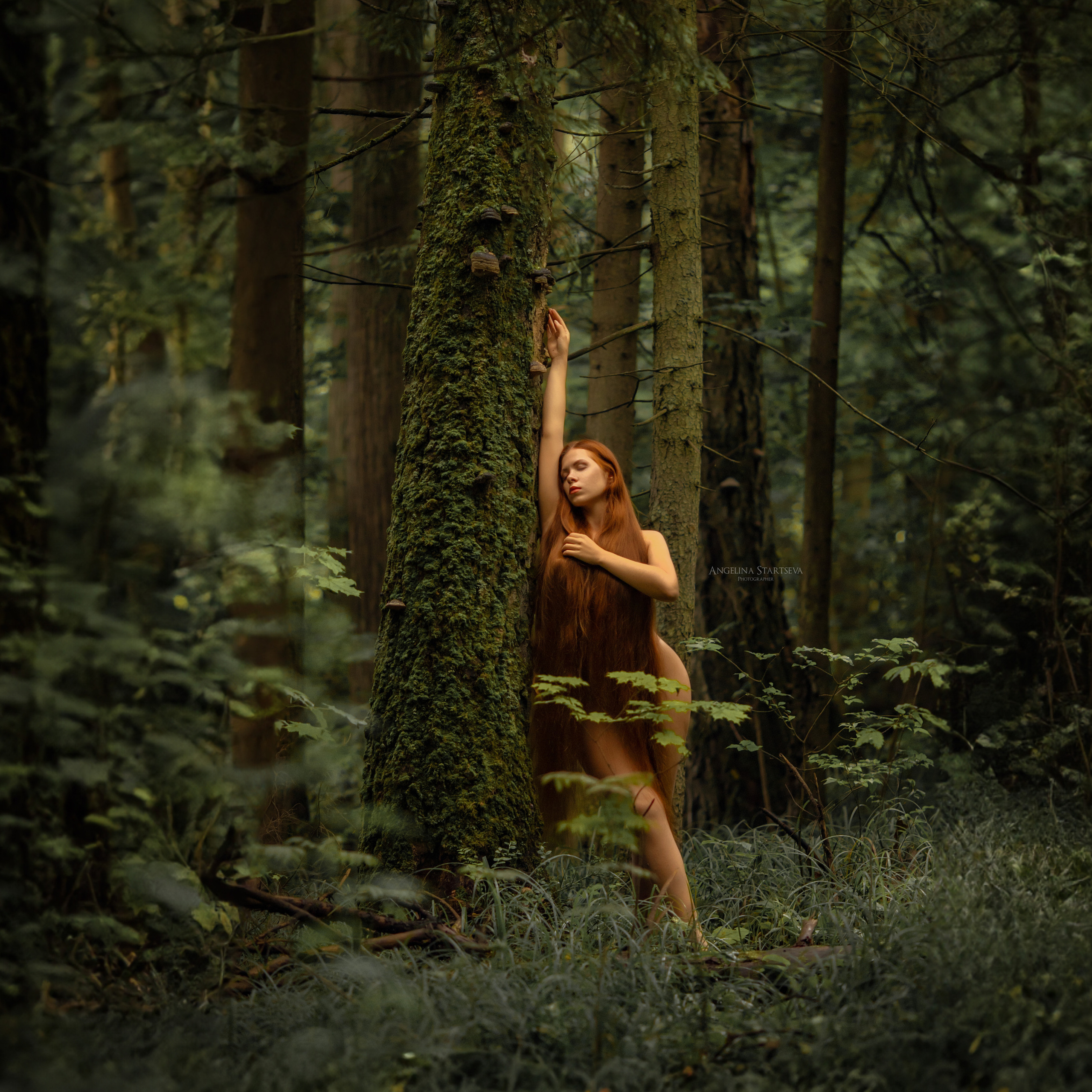 Эстетичное НЮ