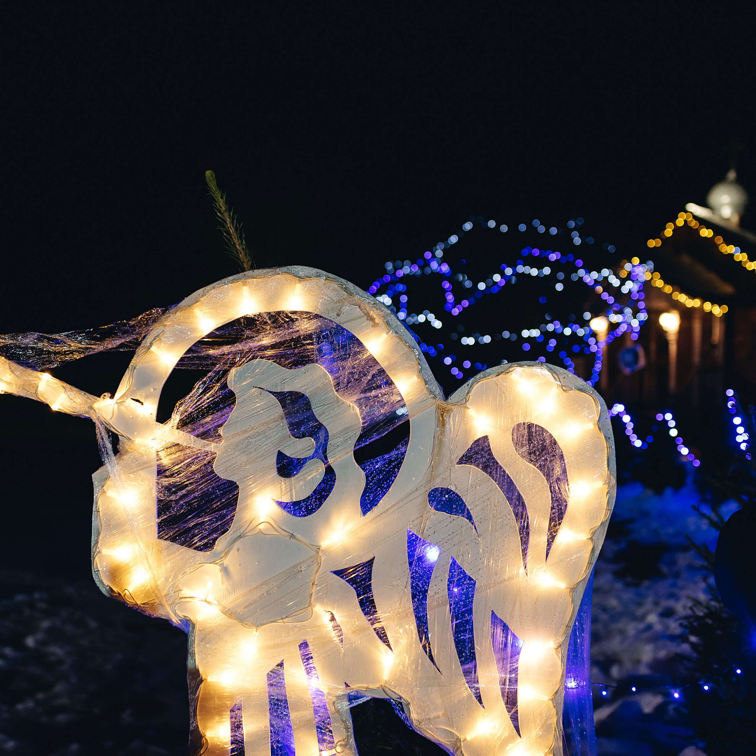 Отзывы. Фотограф на крещение. Создание фотокниг. Беларусь