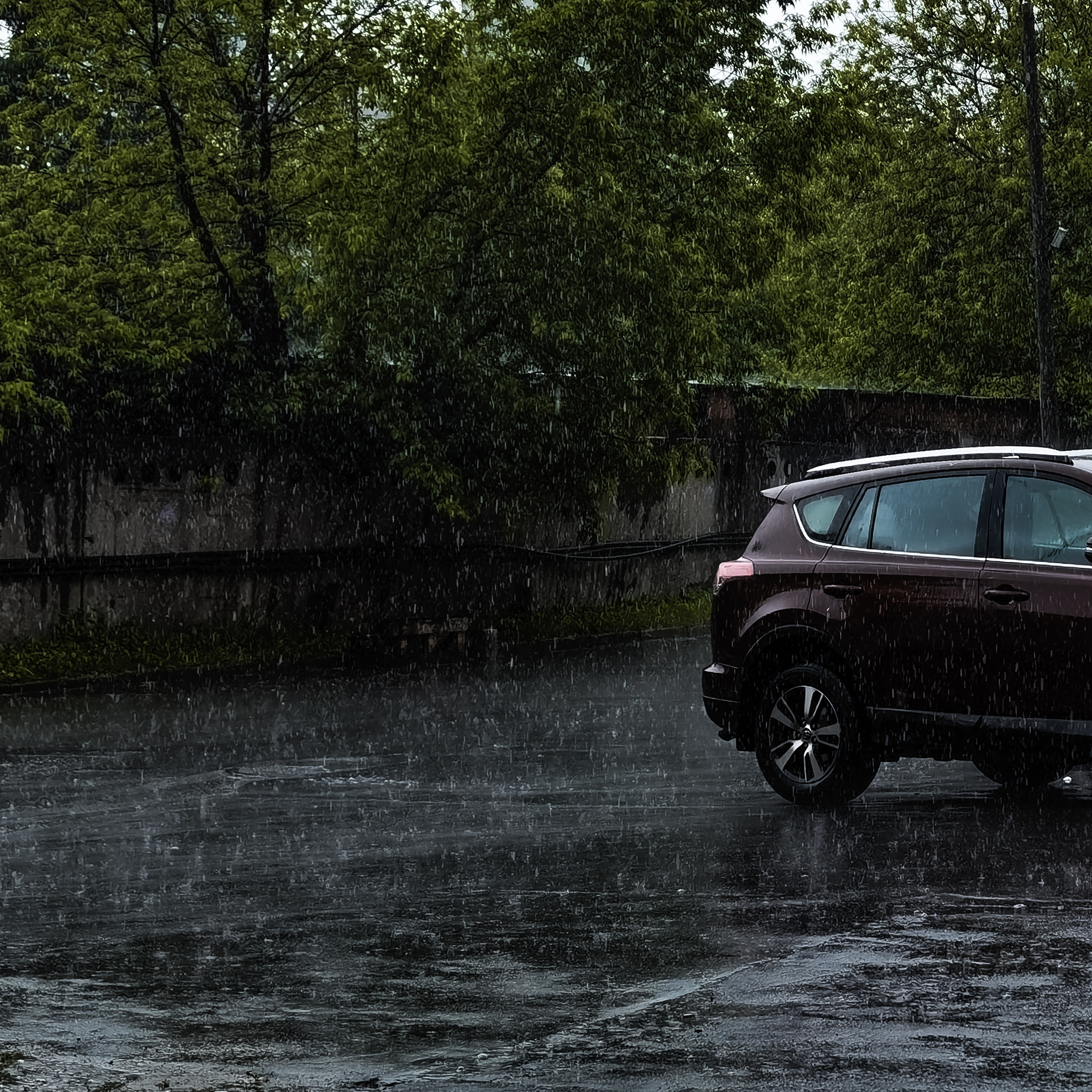 World. Ирина Савельева — фотограф