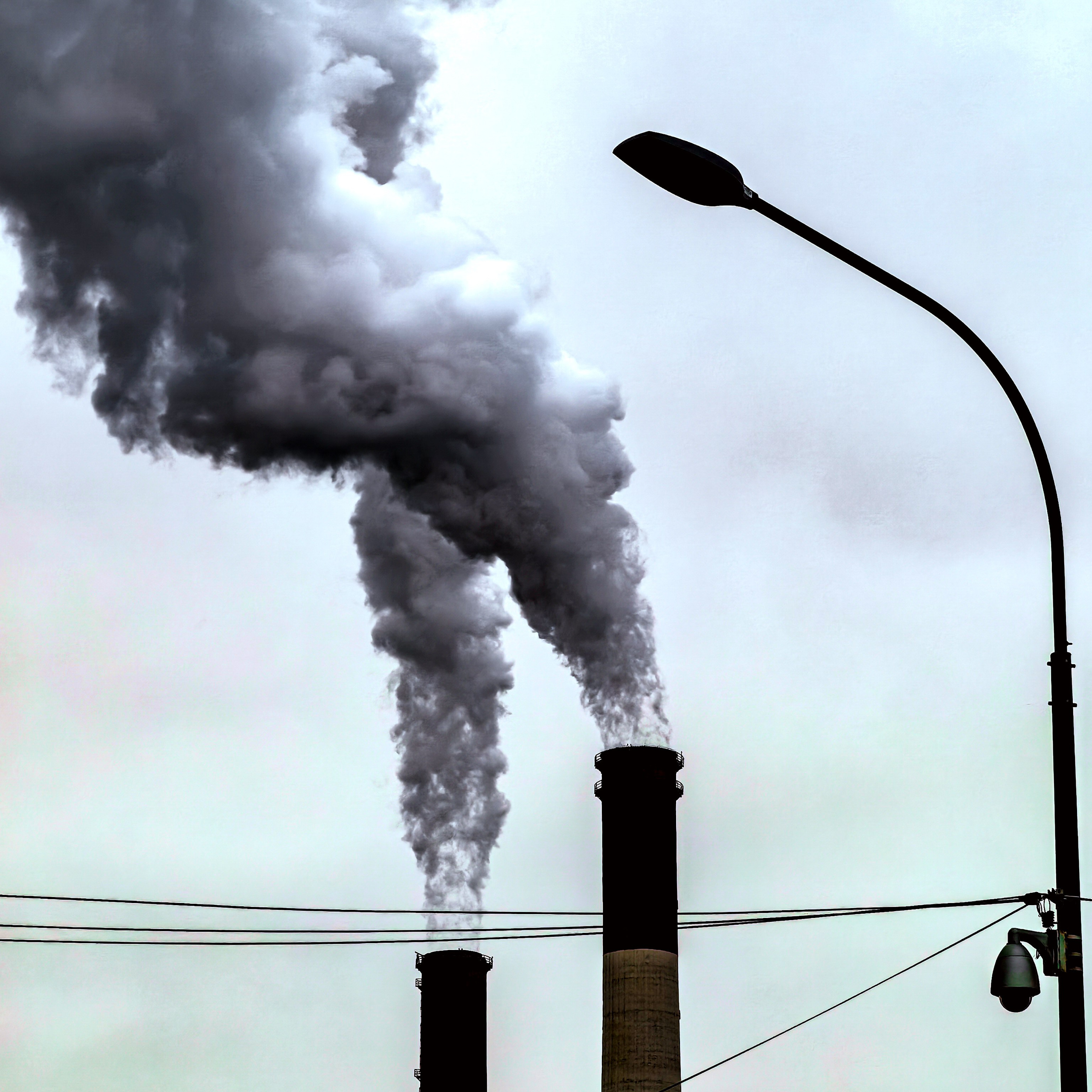 World. Ирина Савельева — фотограф