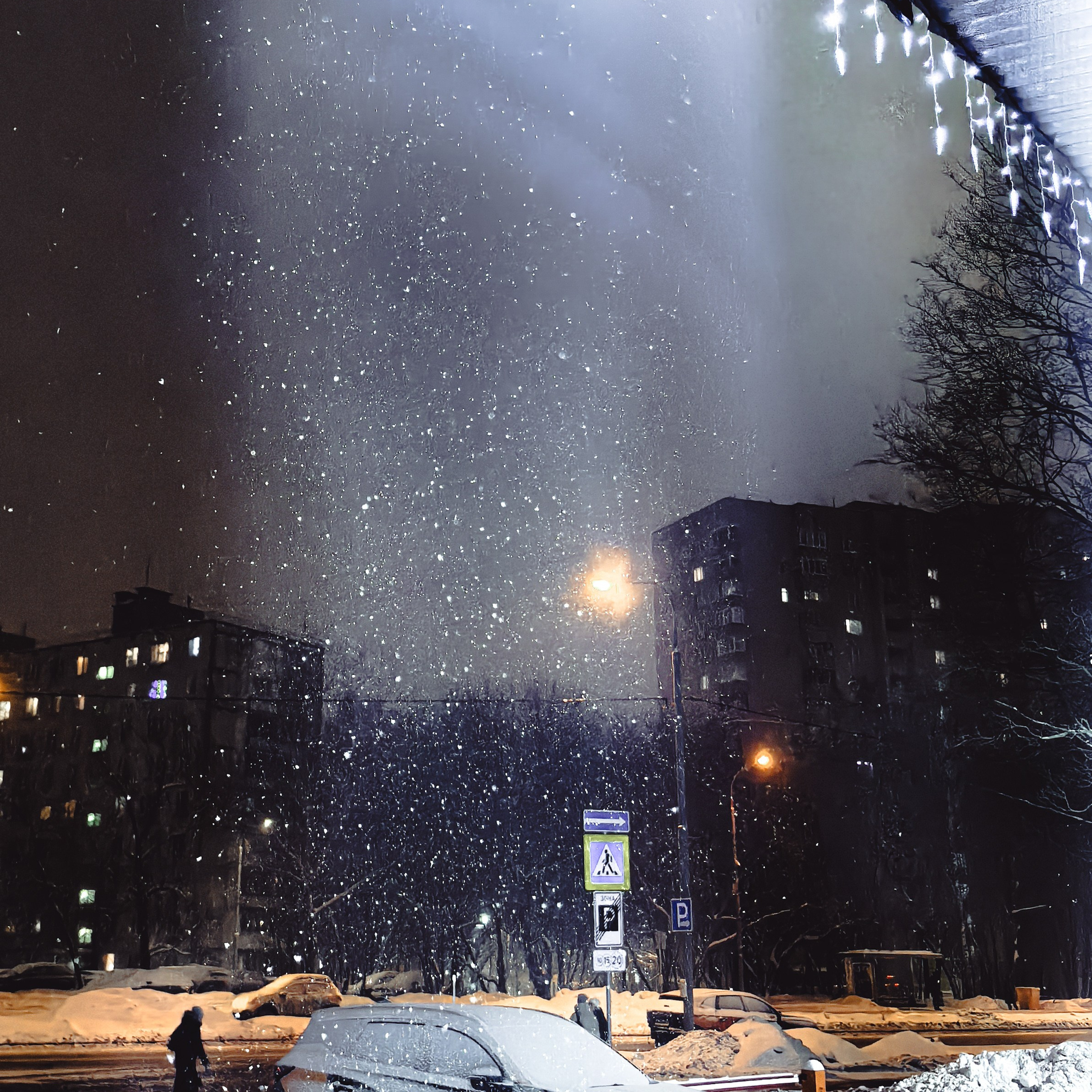 World. Ирина Савельева — фотограф