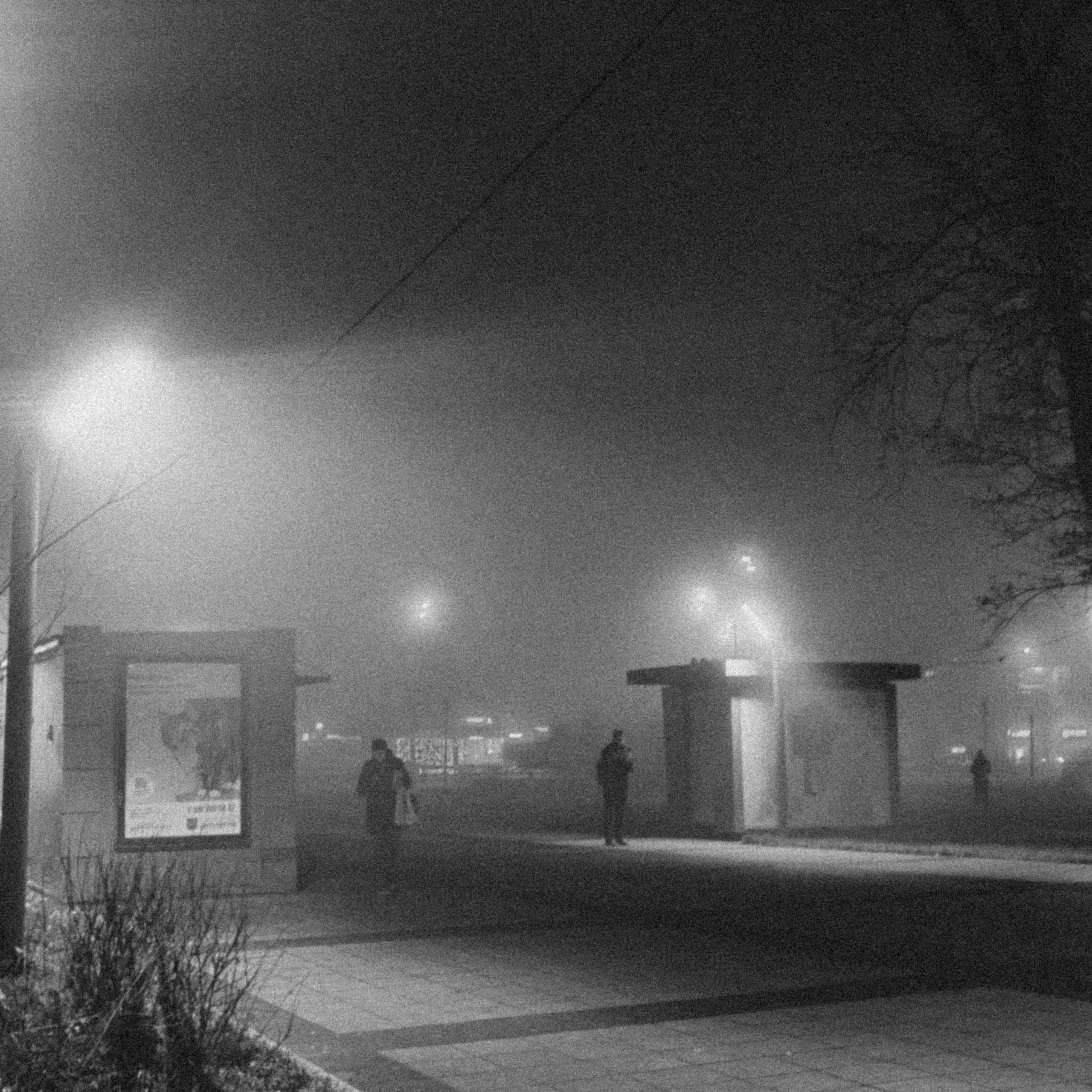 World. Ирина Савельева — фотограф