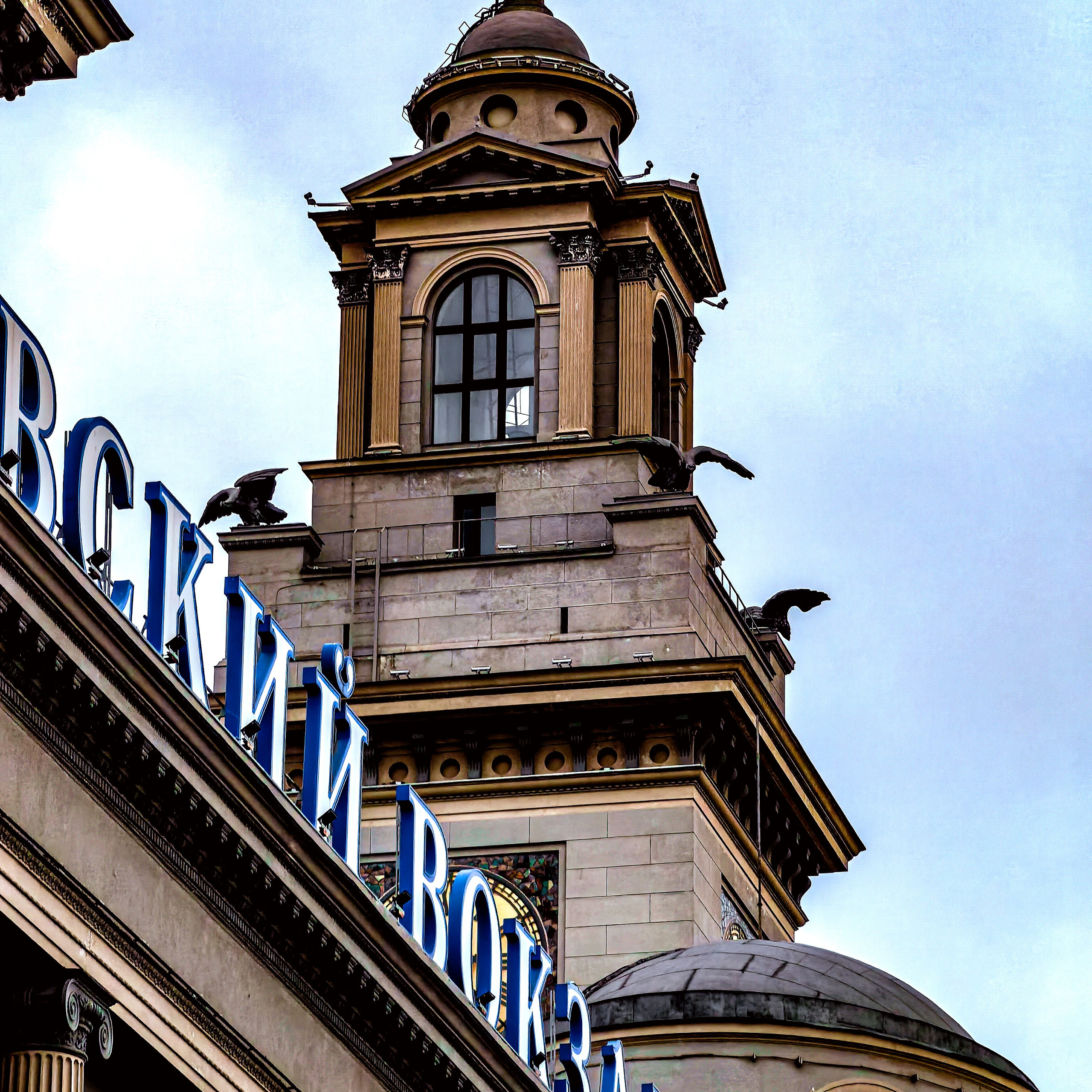 World. Ирина Савельева — фотограф