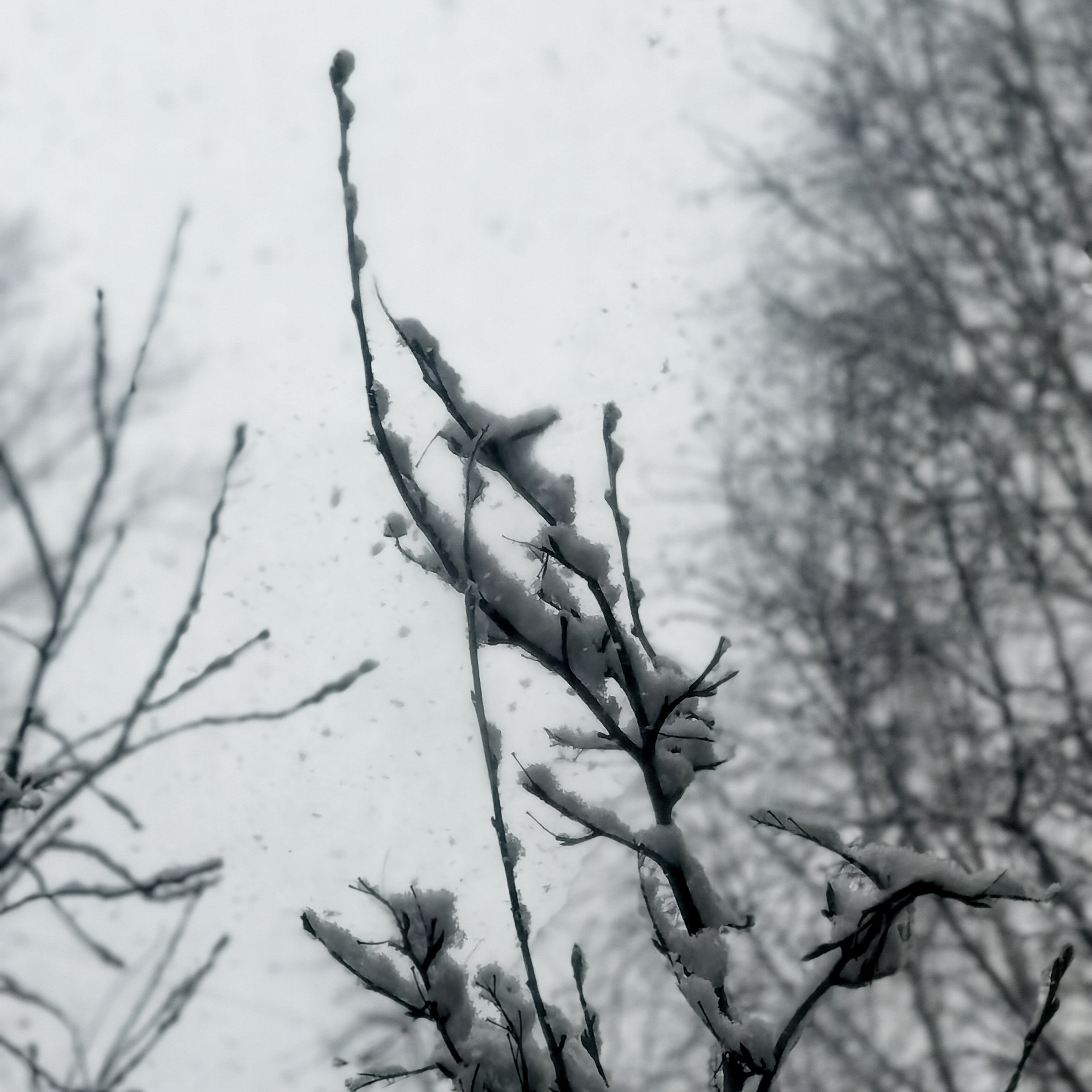 World. Ирина Савельева — фотограф