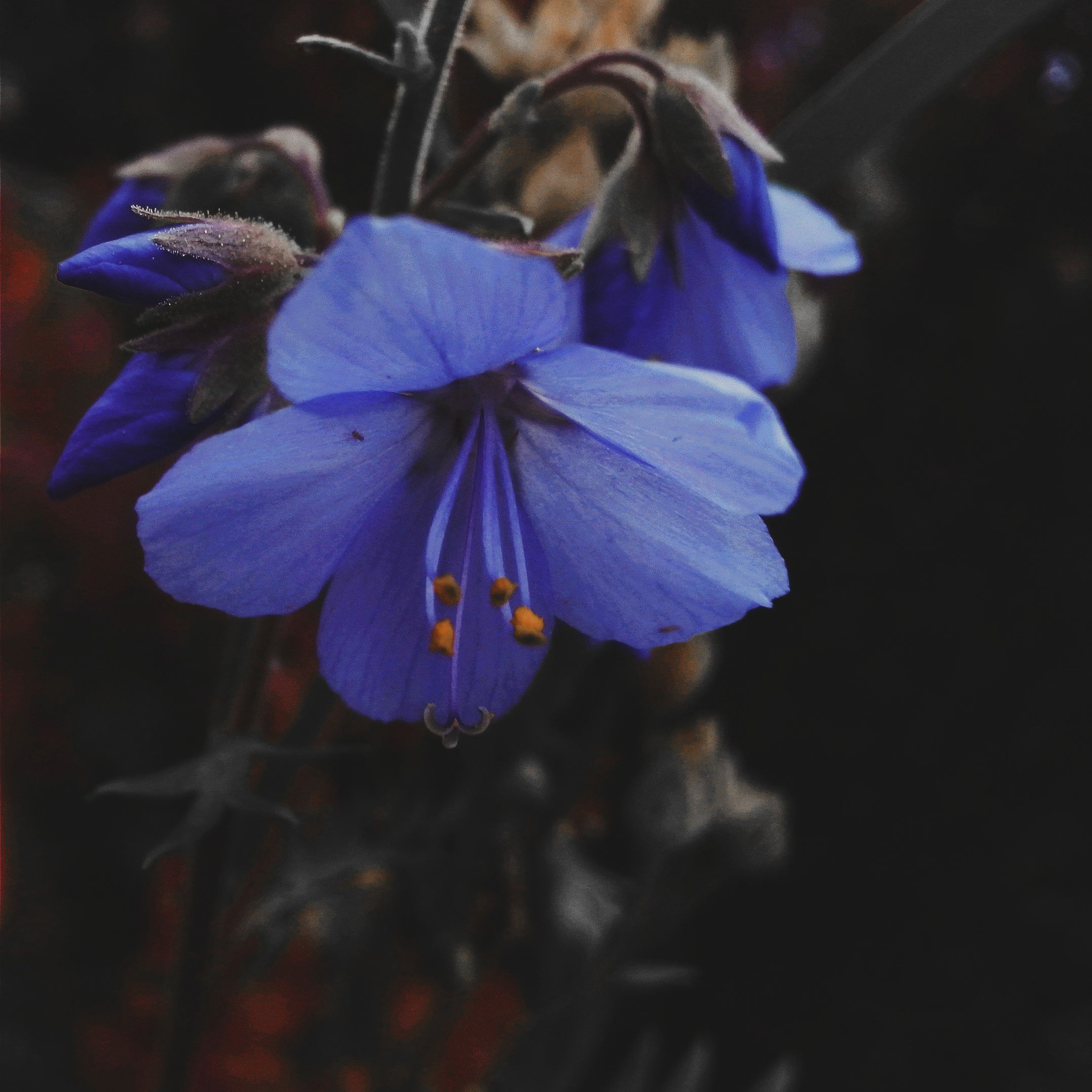 World. Ирина Савельева — фотограф