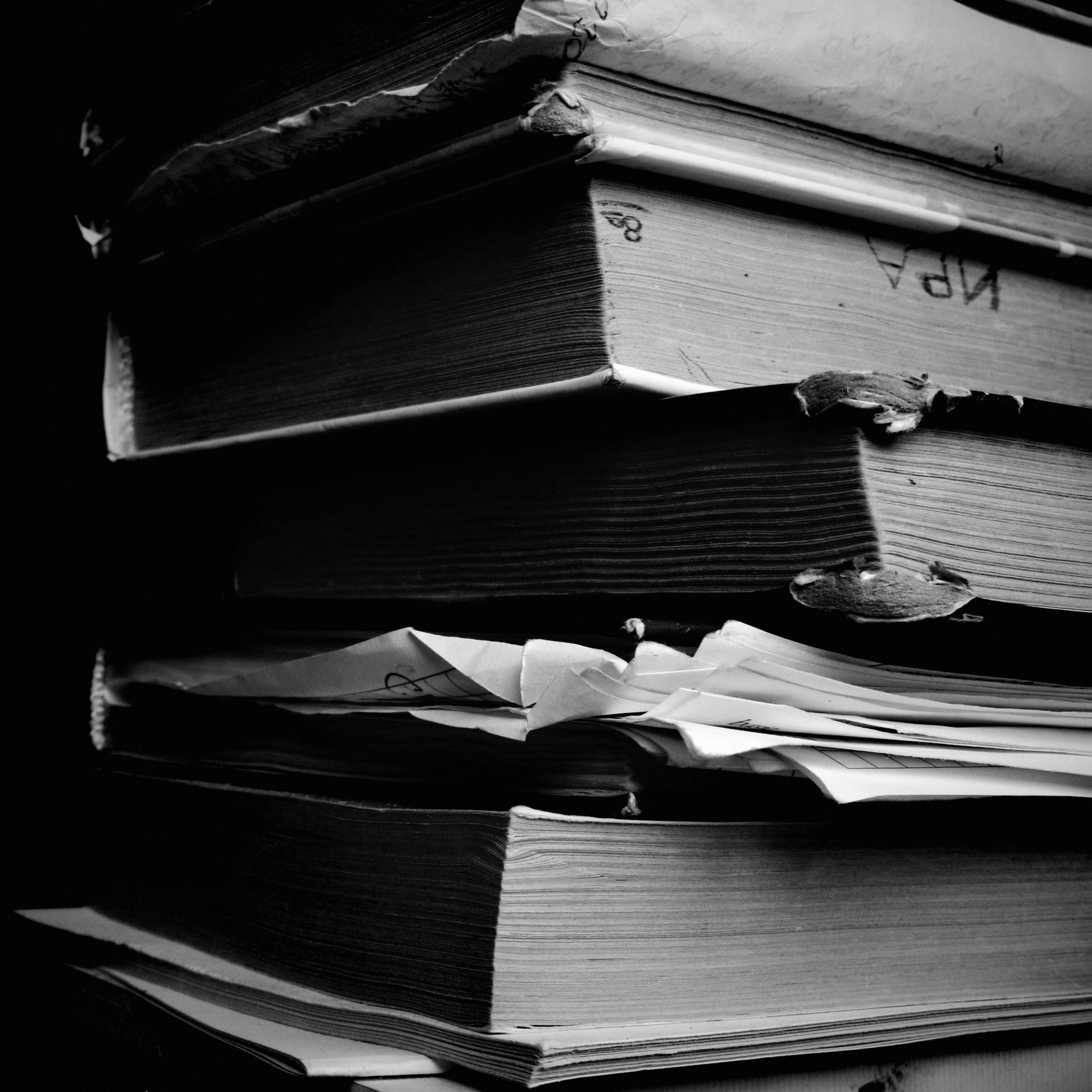 World. Ирина Савельева — фотограф