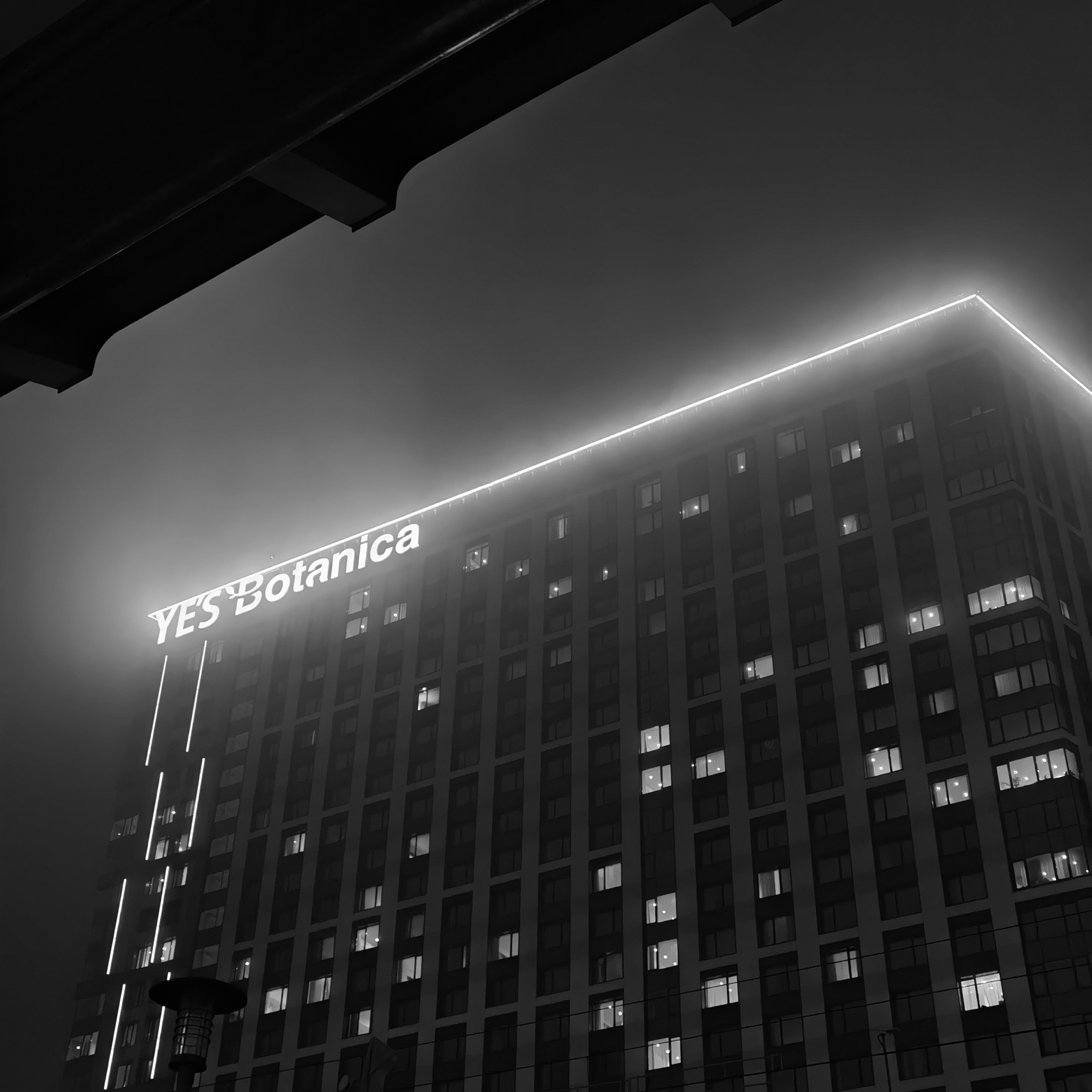 World. Ирина Савельева — фотограф